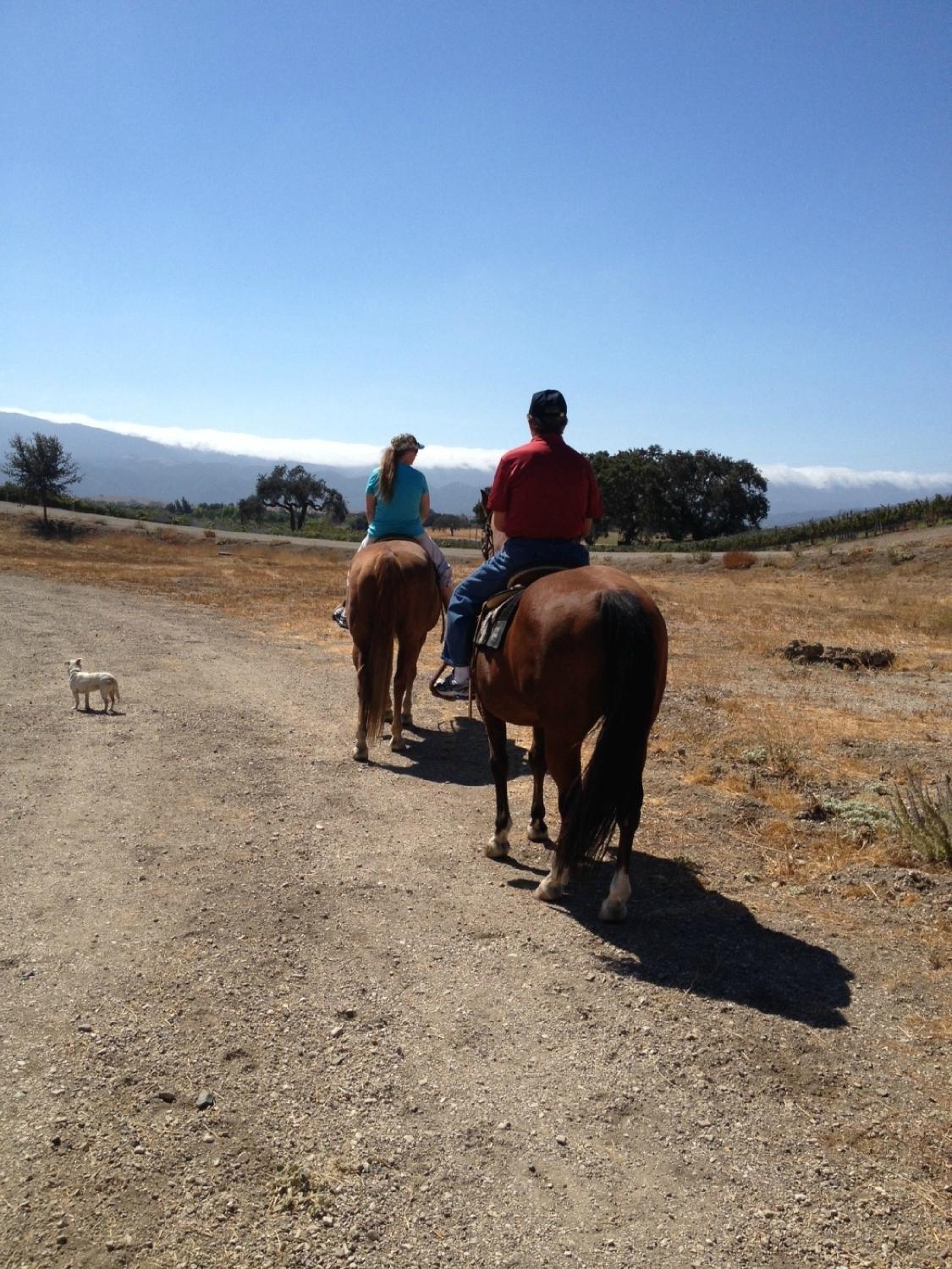 Vino Vaqueros Horseback Riding