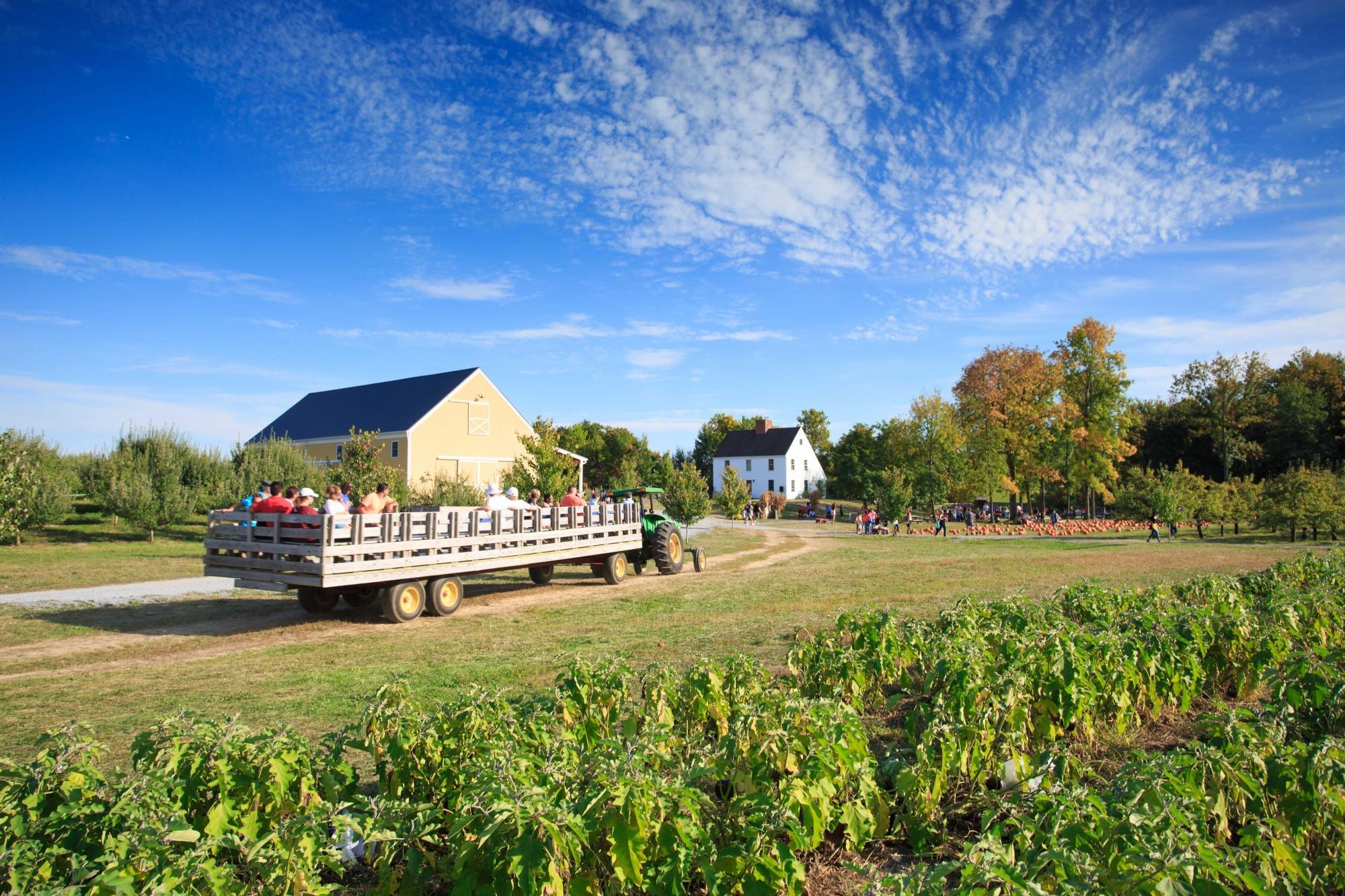 DuBois Farms