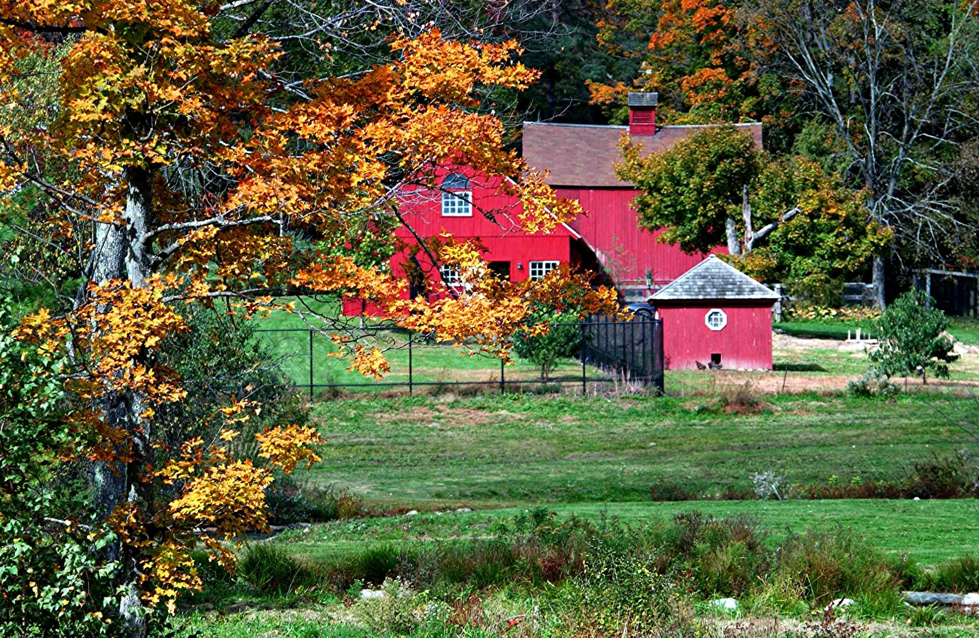 Ripley Waterfowl Conservancy