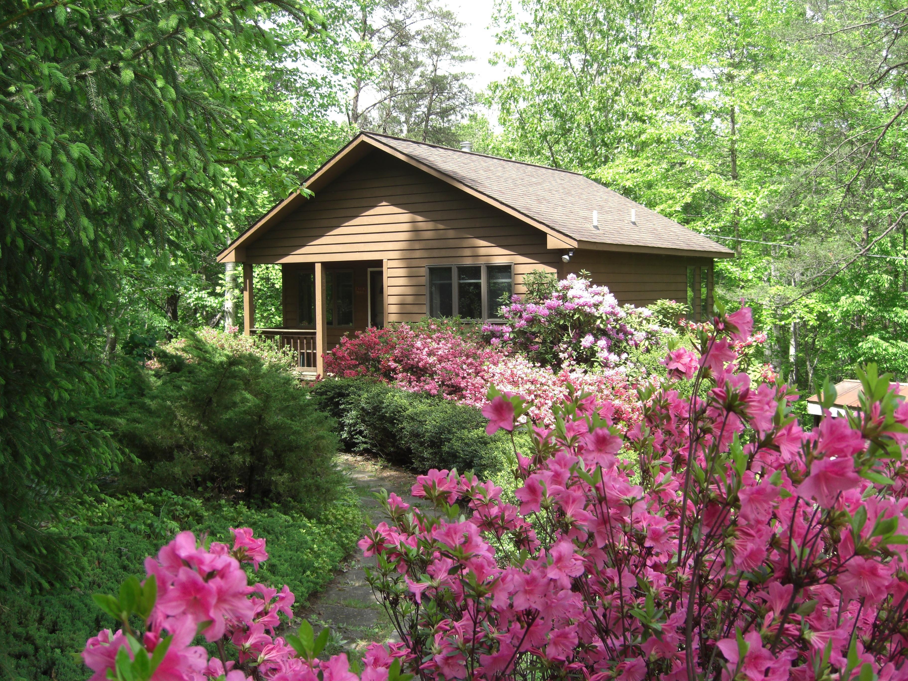 Cottages at Chesley Creek Farm