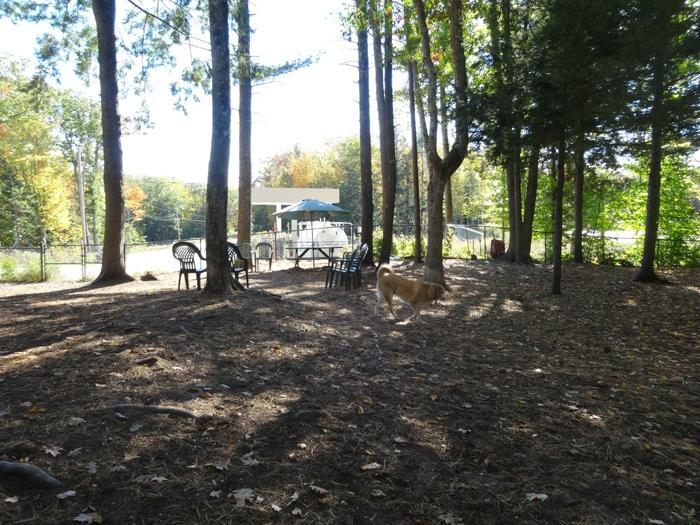 Ogunquit Dog Park