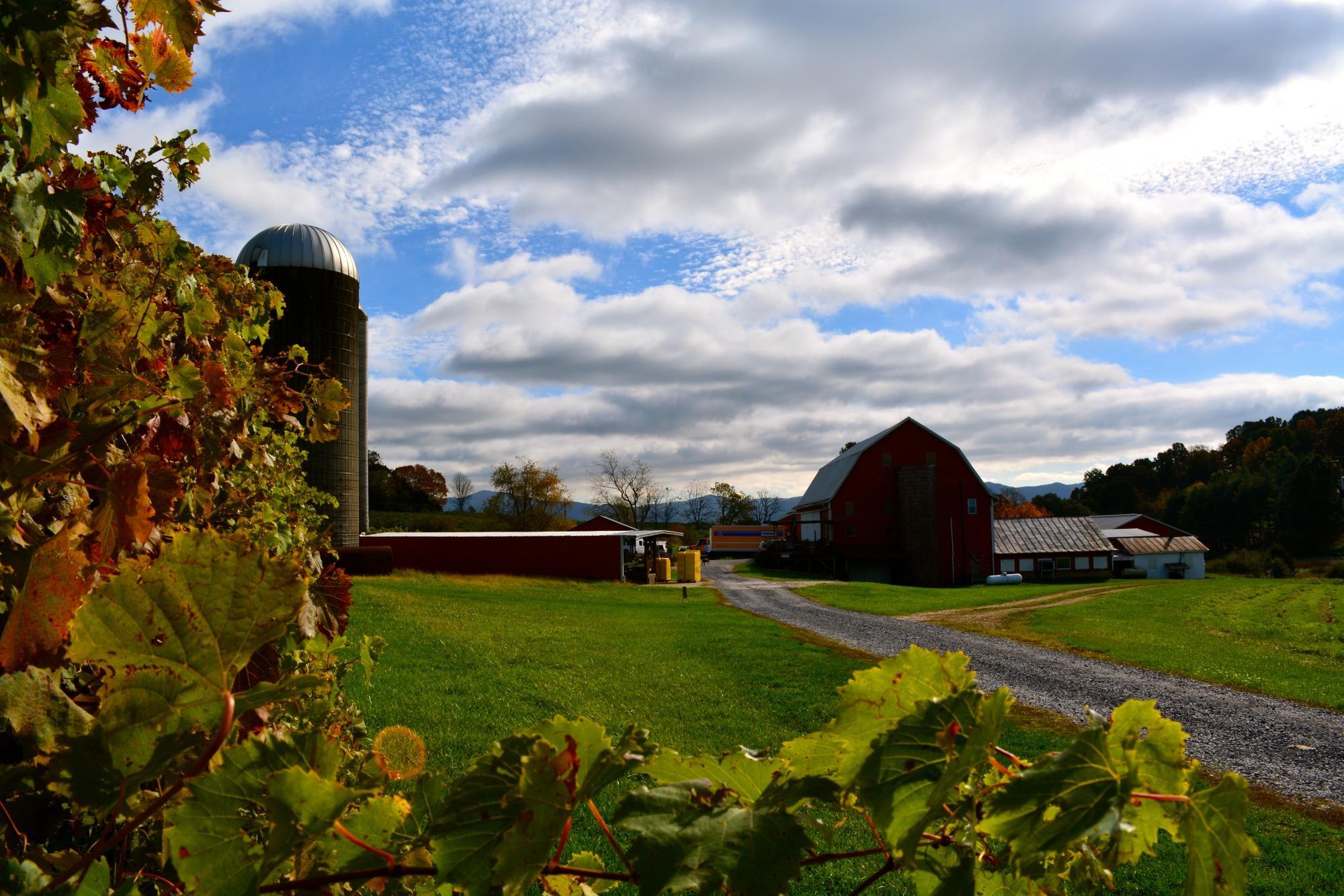 Rockbridge Vineyard & Brewery