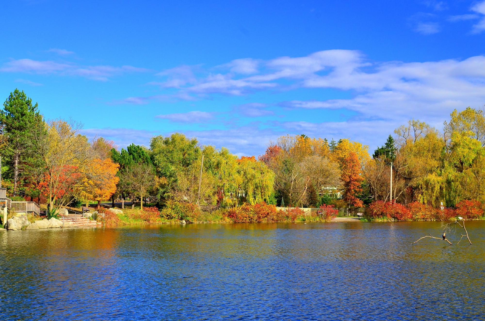 Toogood Pond Park