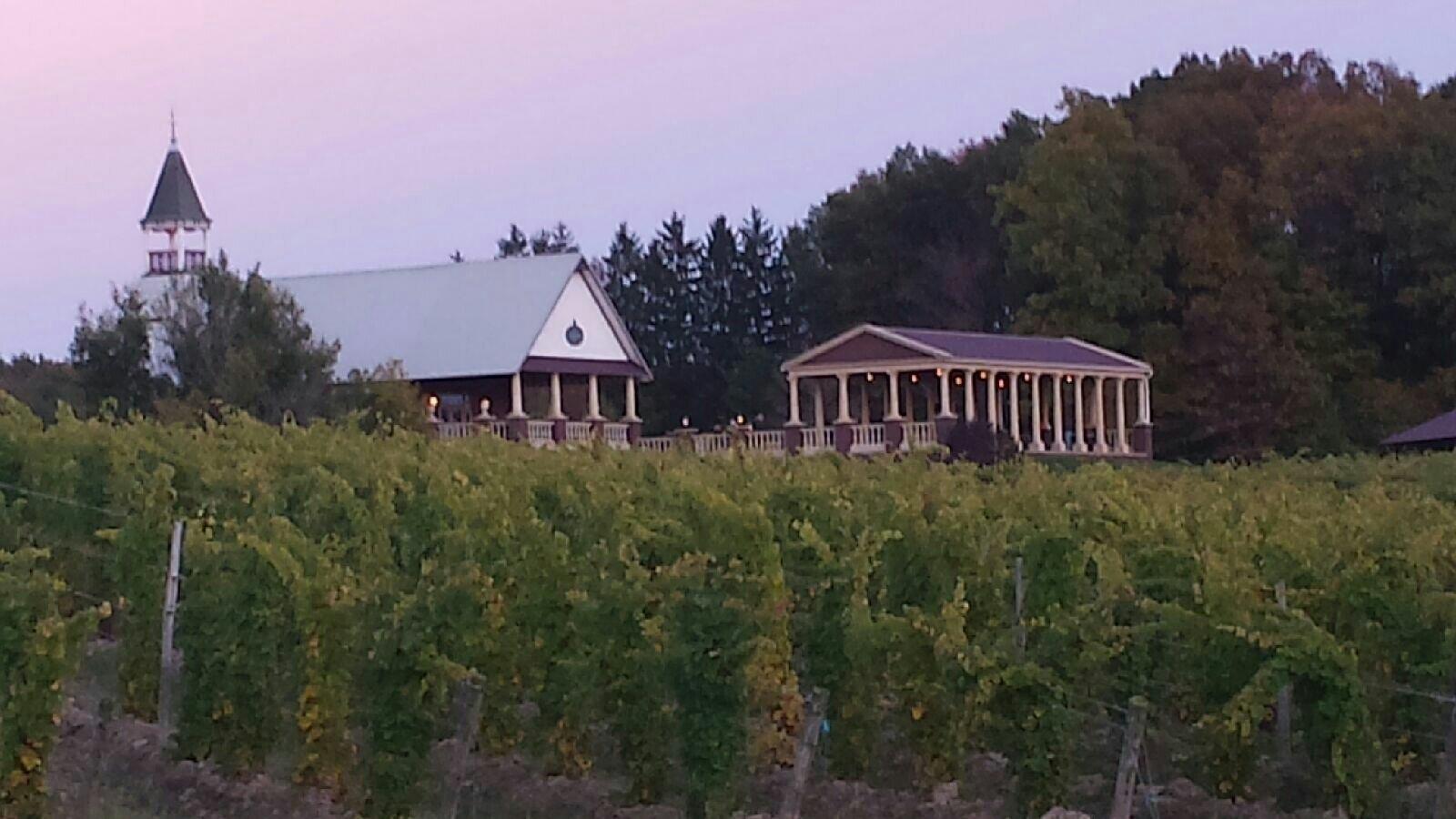 South River Vineyard