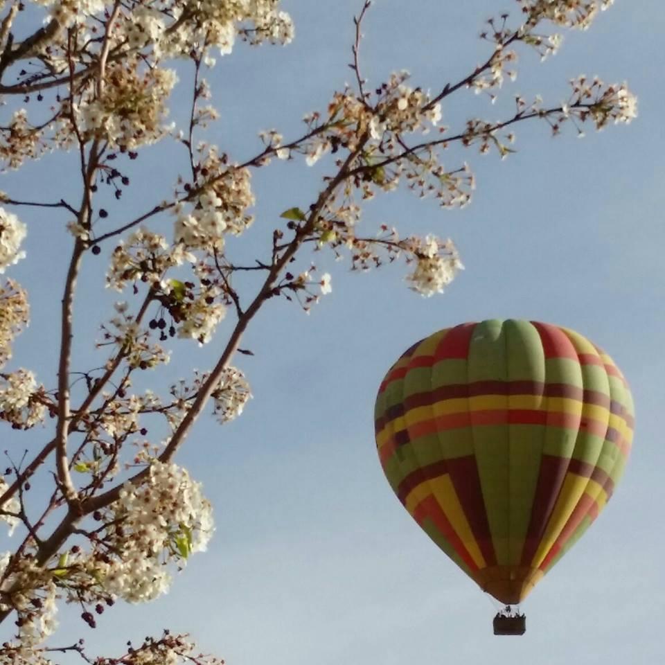 Las Vegas Balloon Rides