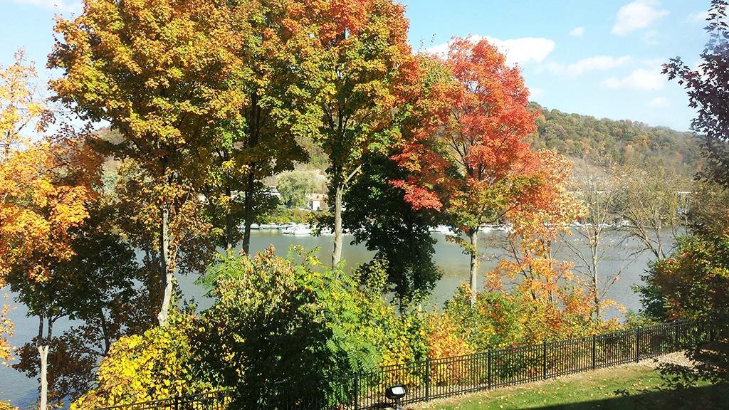 Fairfield Inn & Suites Pittsburgh Neville Island