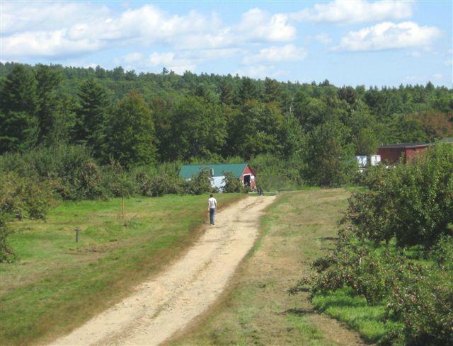 Hackleboro Orchards