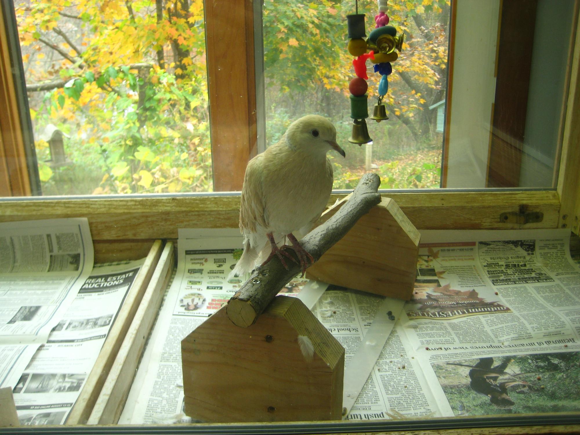 Ansonia Nature Center