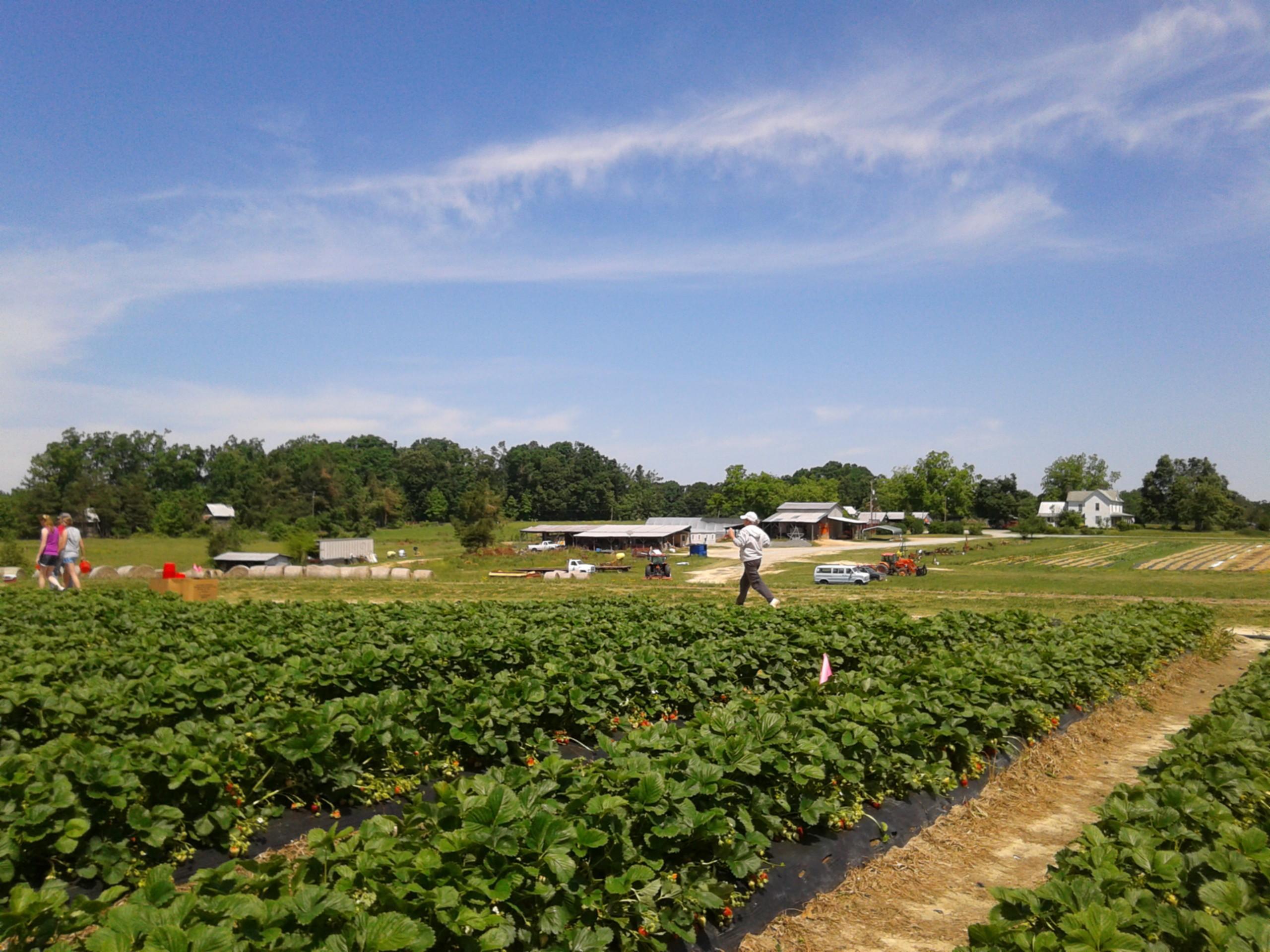 Waller Family Farm