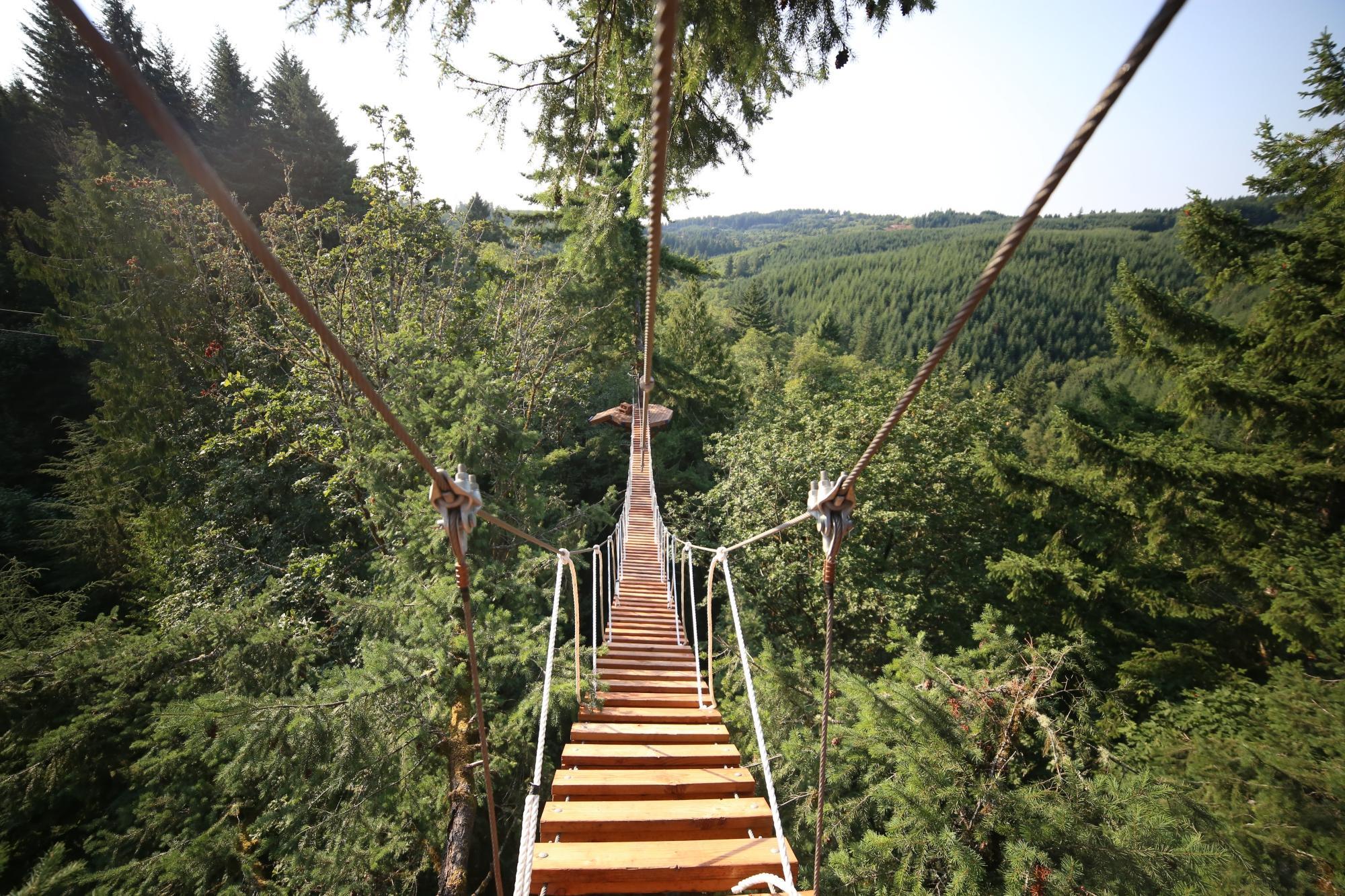 Pumpkin Ridge Zip Tour