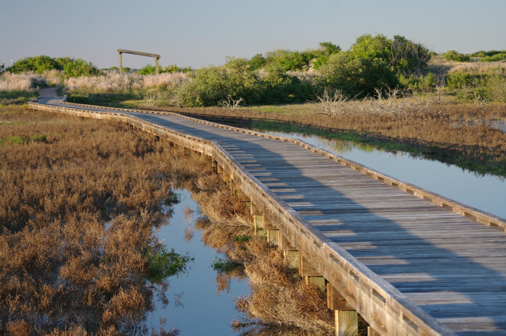 Port Aransas Nature Preserve