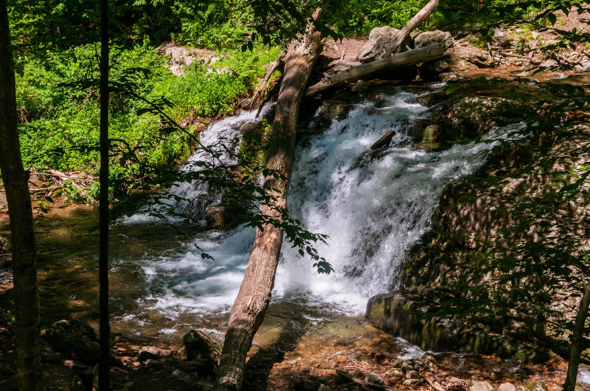 Worthington State Forest