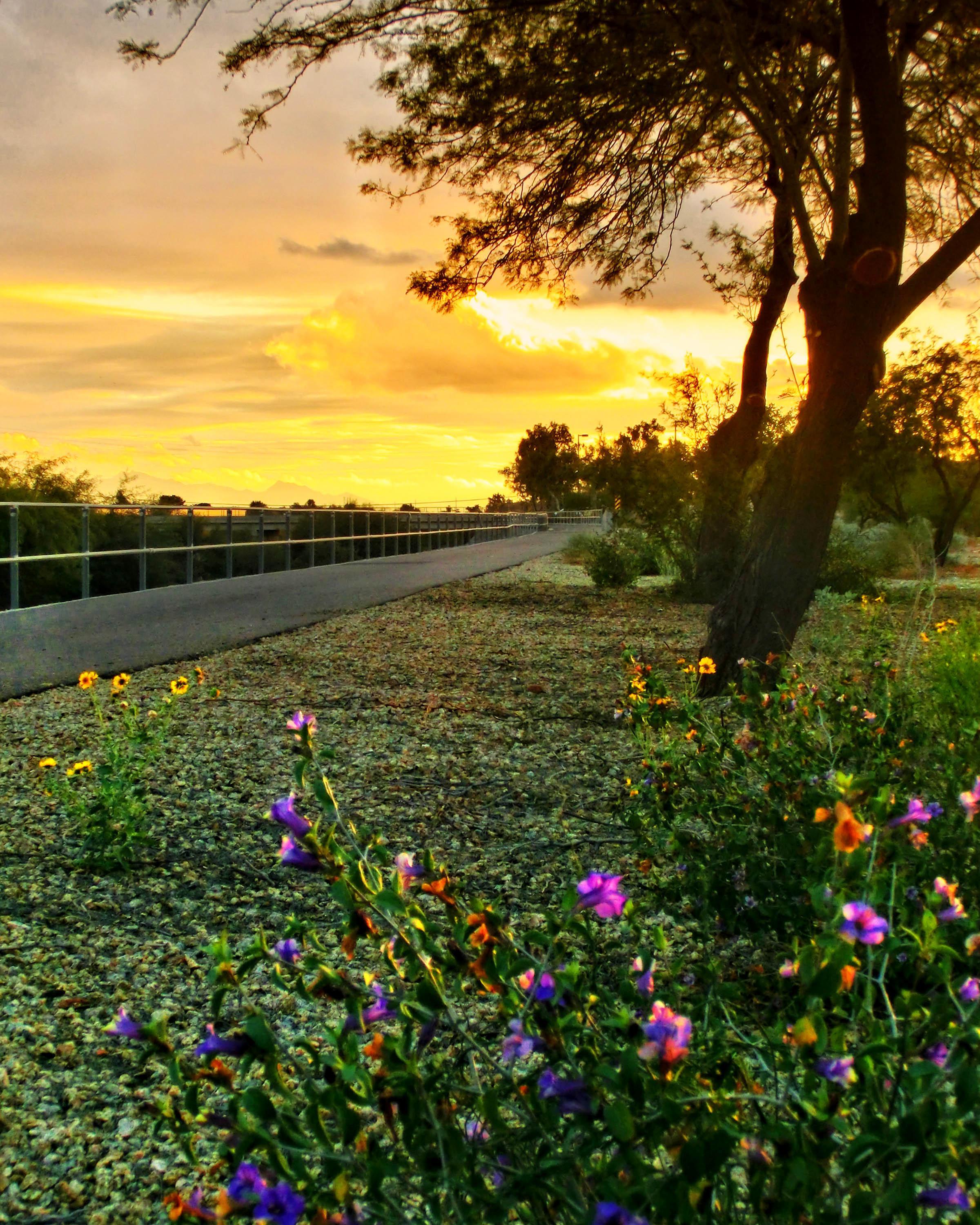 New River Trail