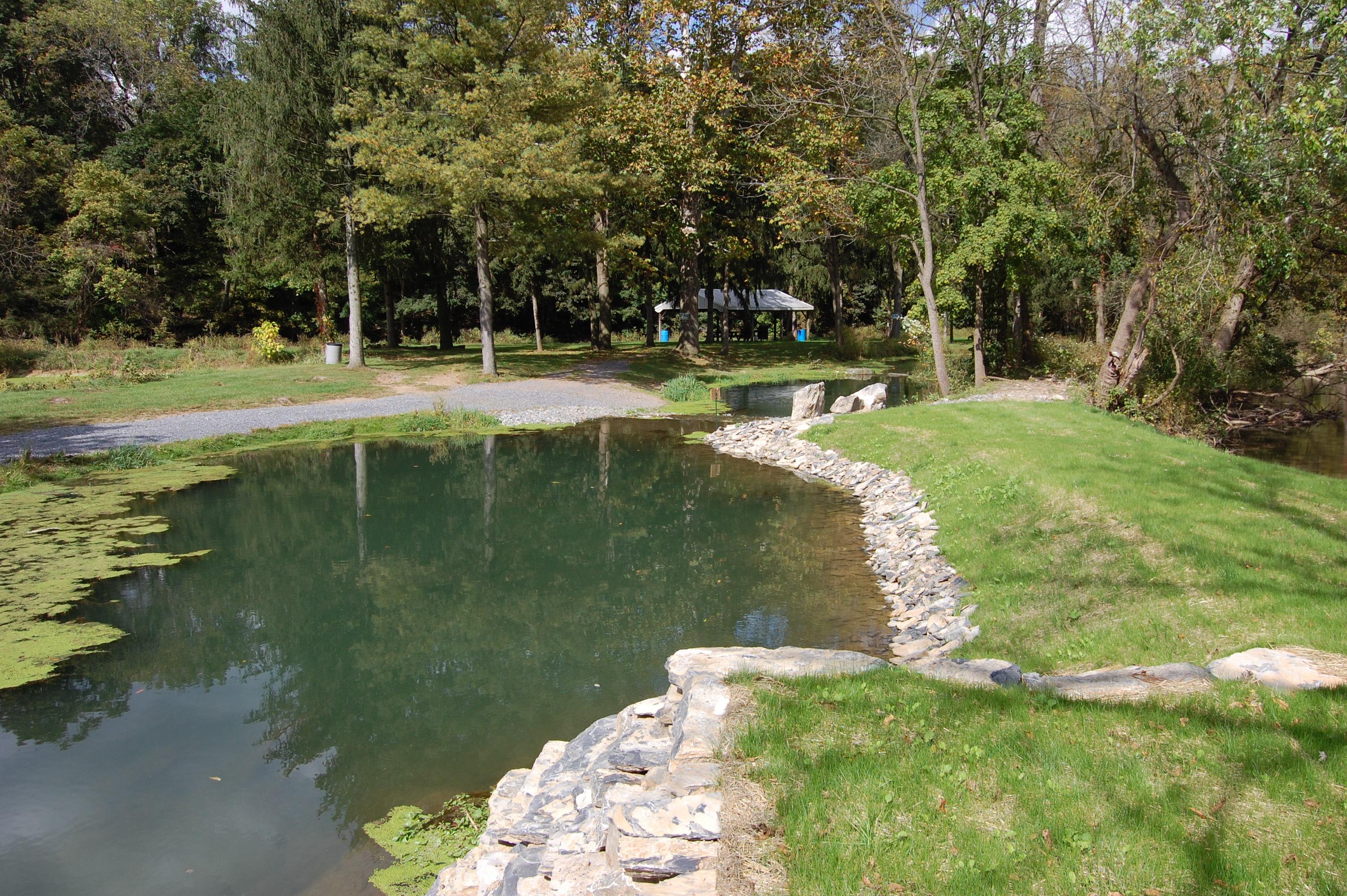 Limestone Springs Preserve