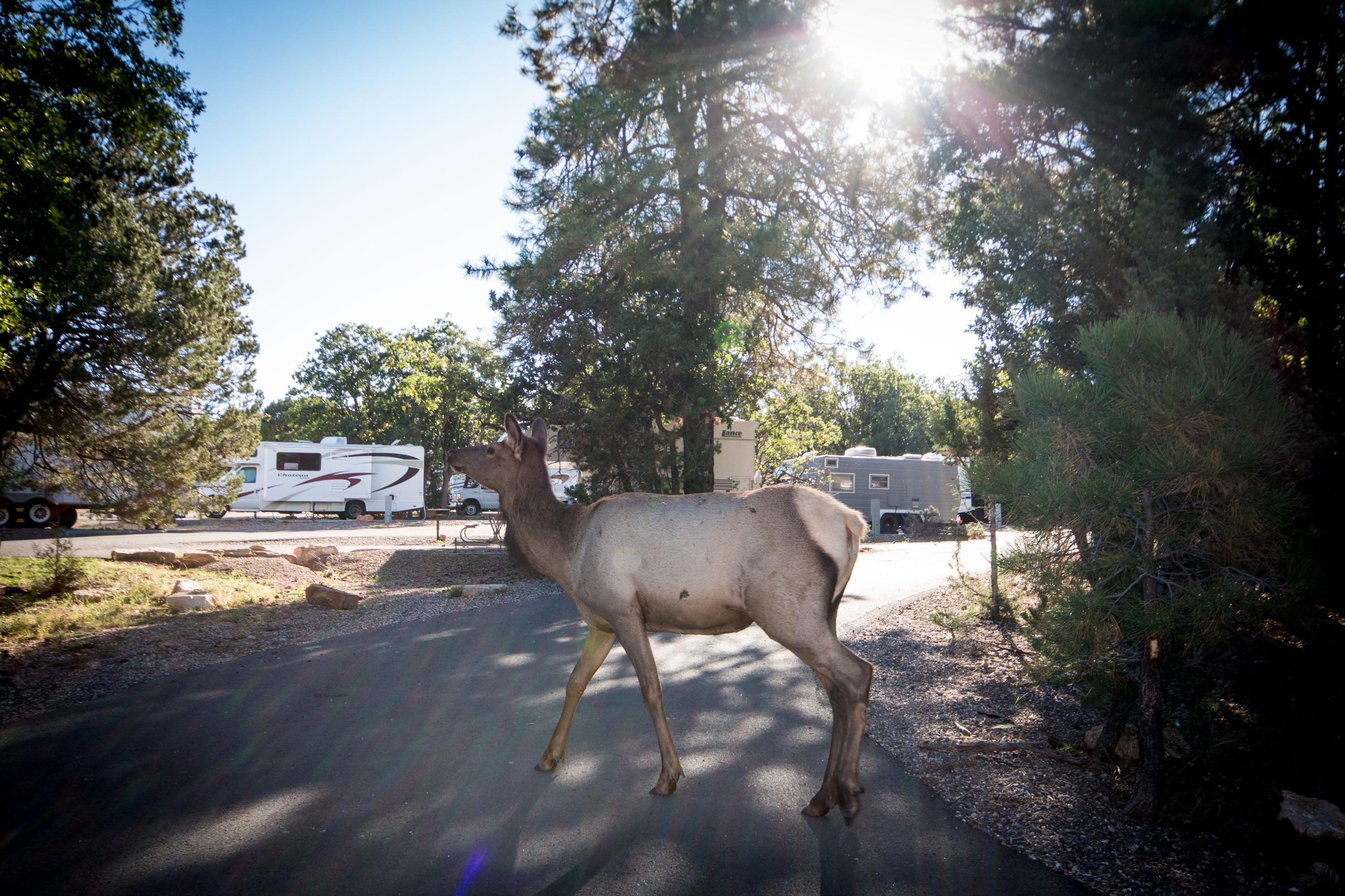 Trailer Village RV Park