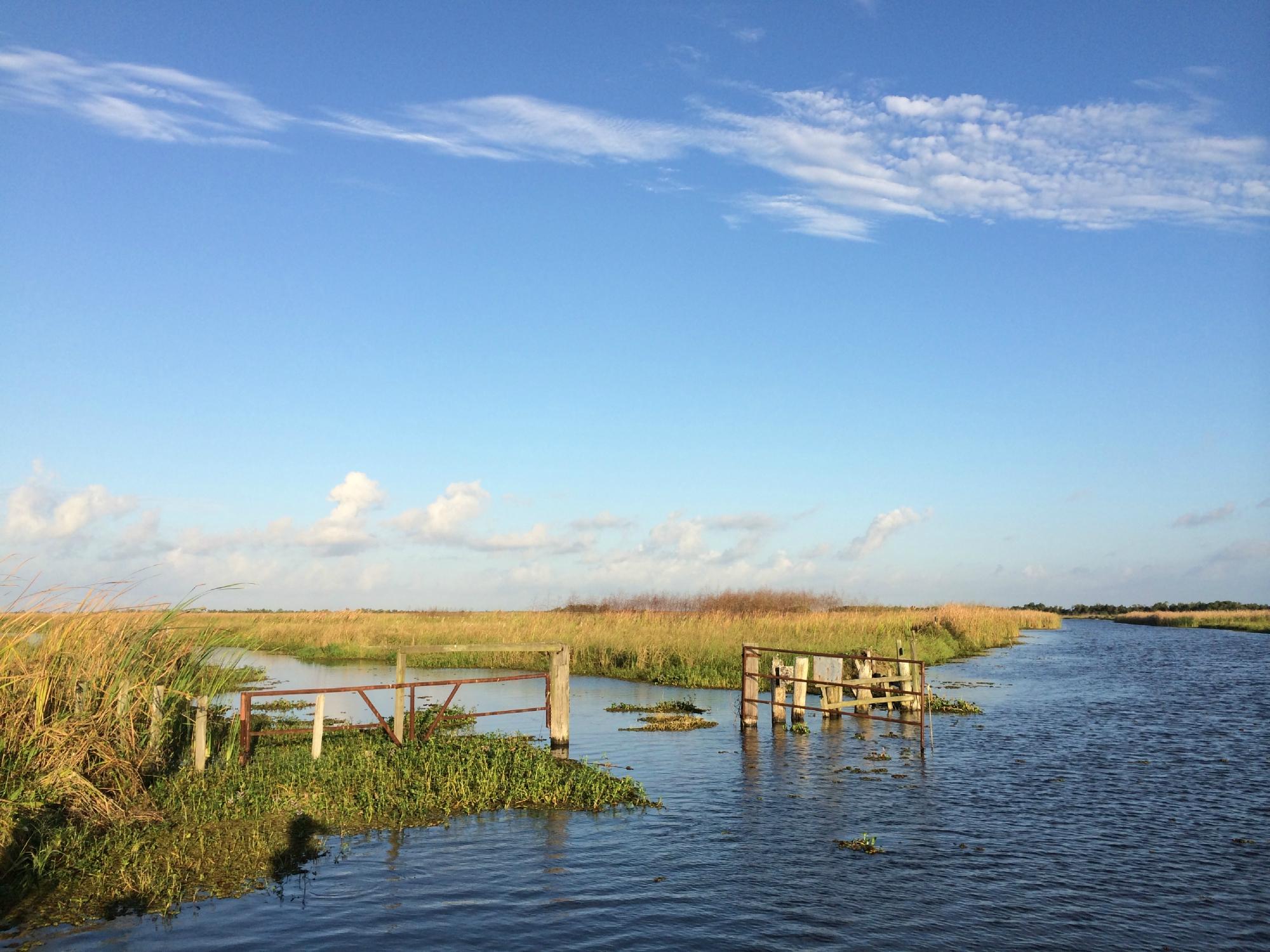 Bayou Woman Adventures