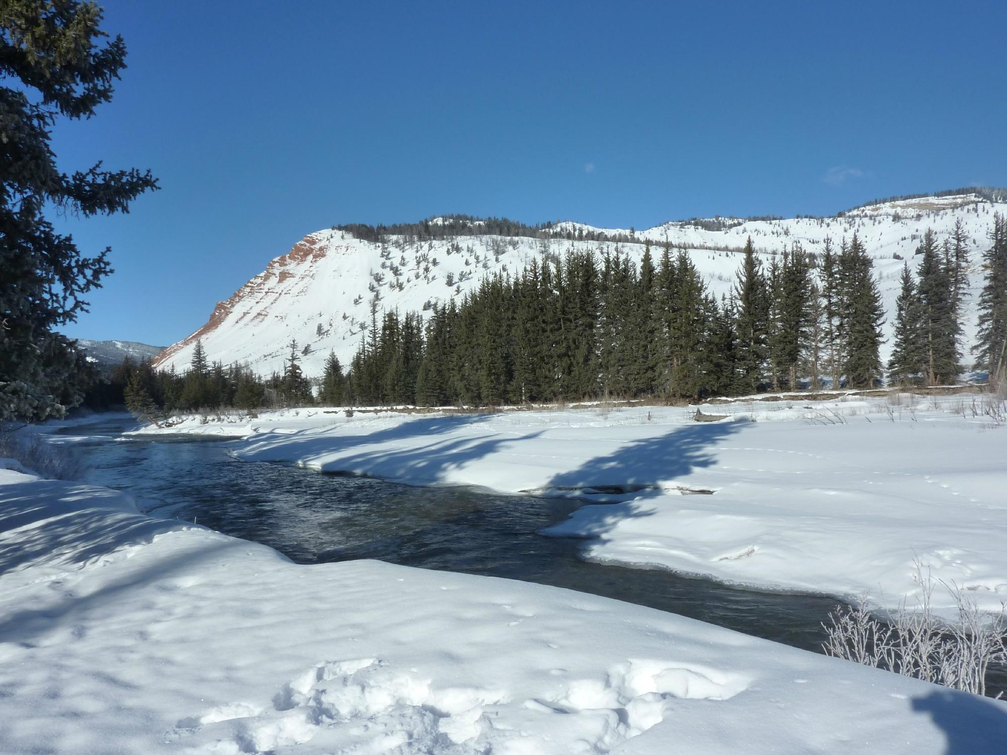 Old Faithful Snowmobile Tours