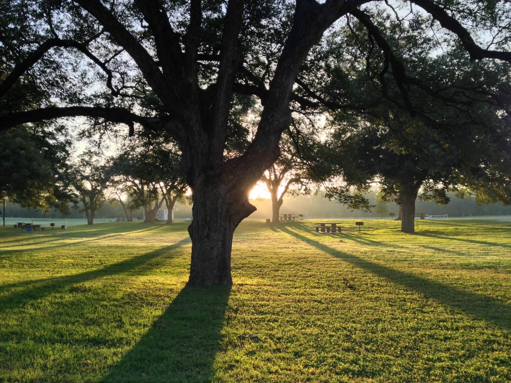 Castroville Regional Park