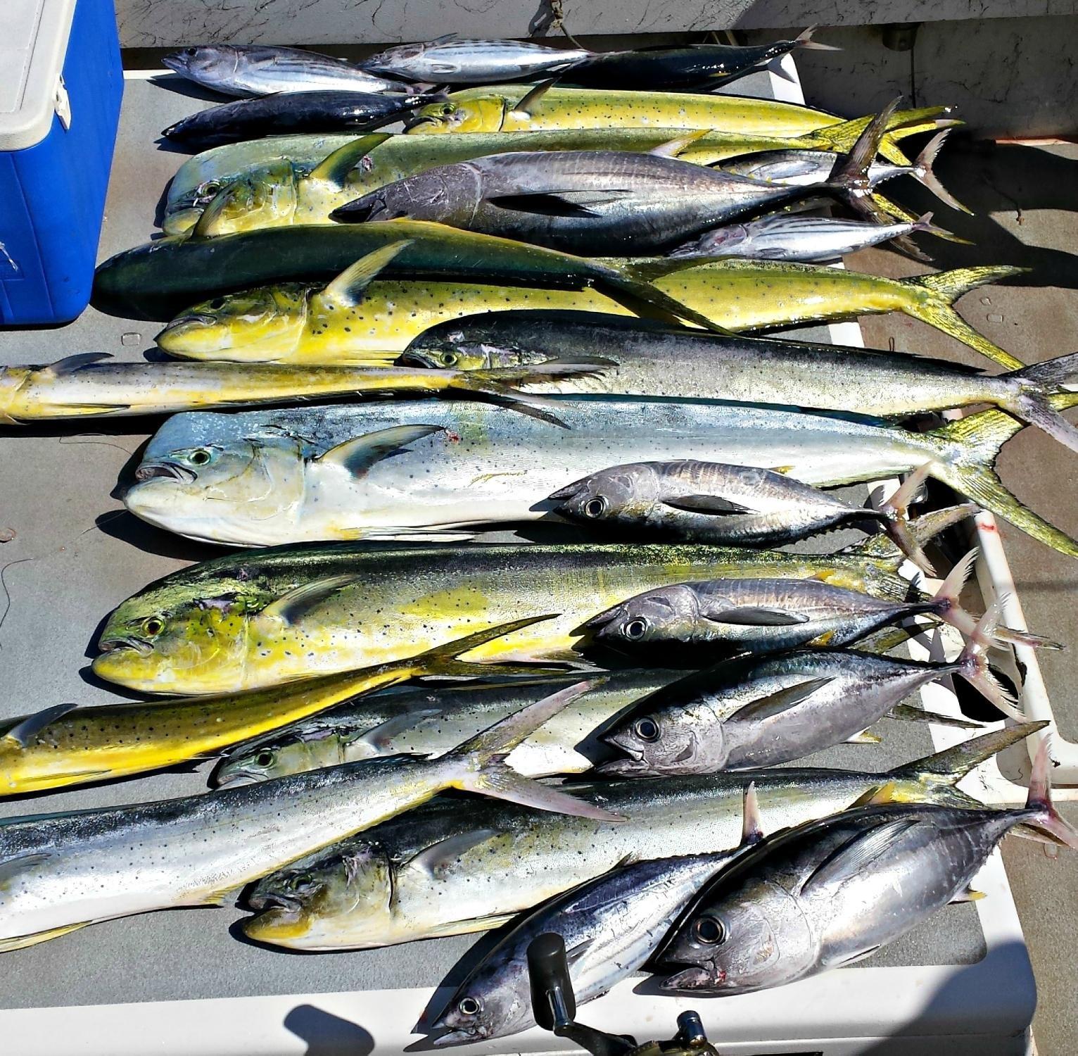 Hawaiian Style Fishing