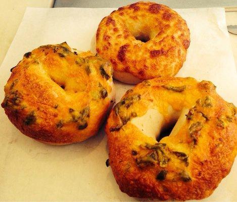 New York Bagels