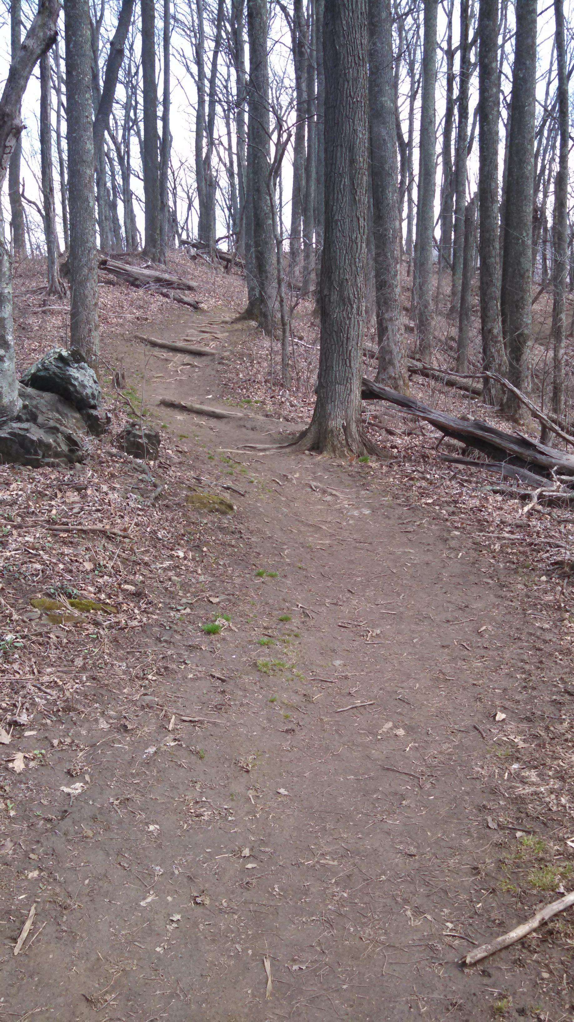 Craven Gap Trail