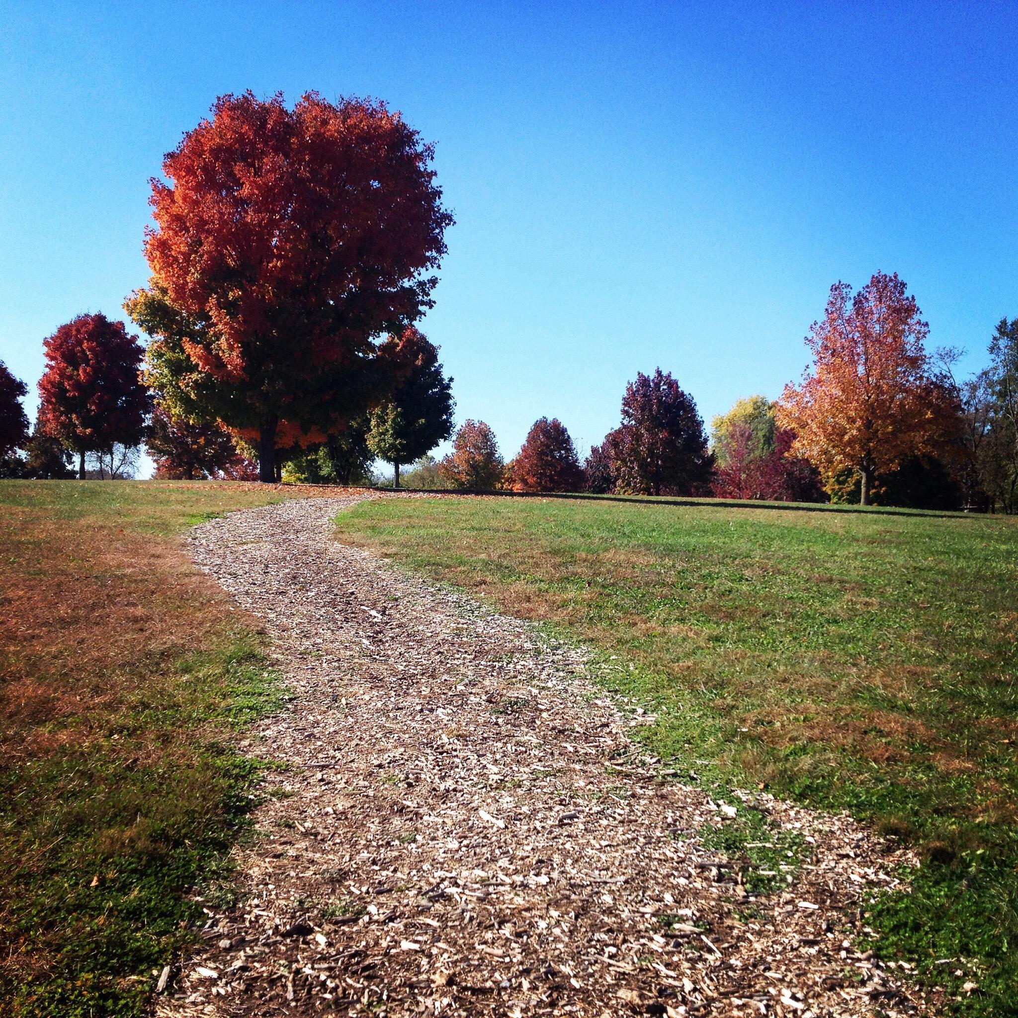 Lake Springfield