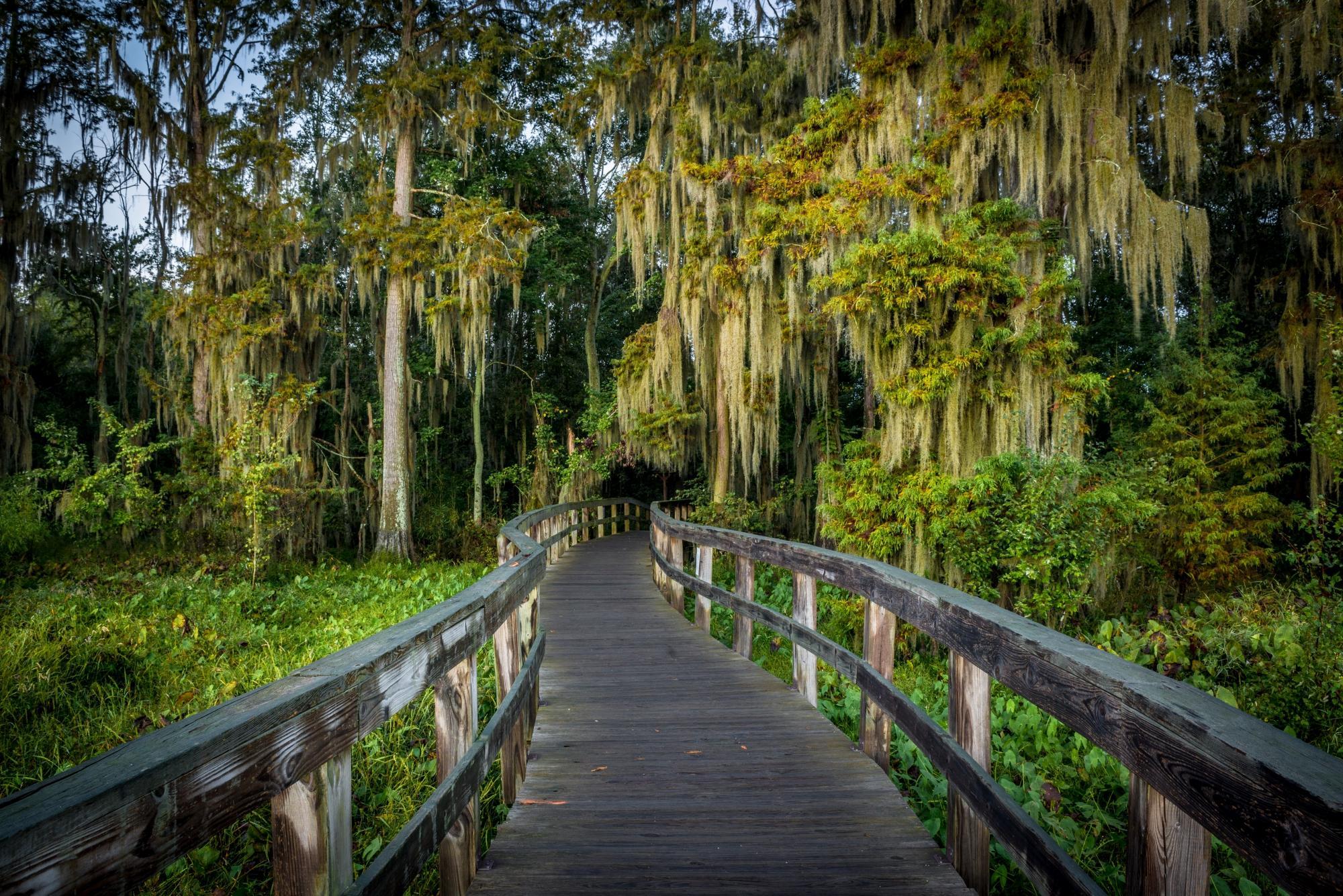 Phinizy Swamp Nature Park