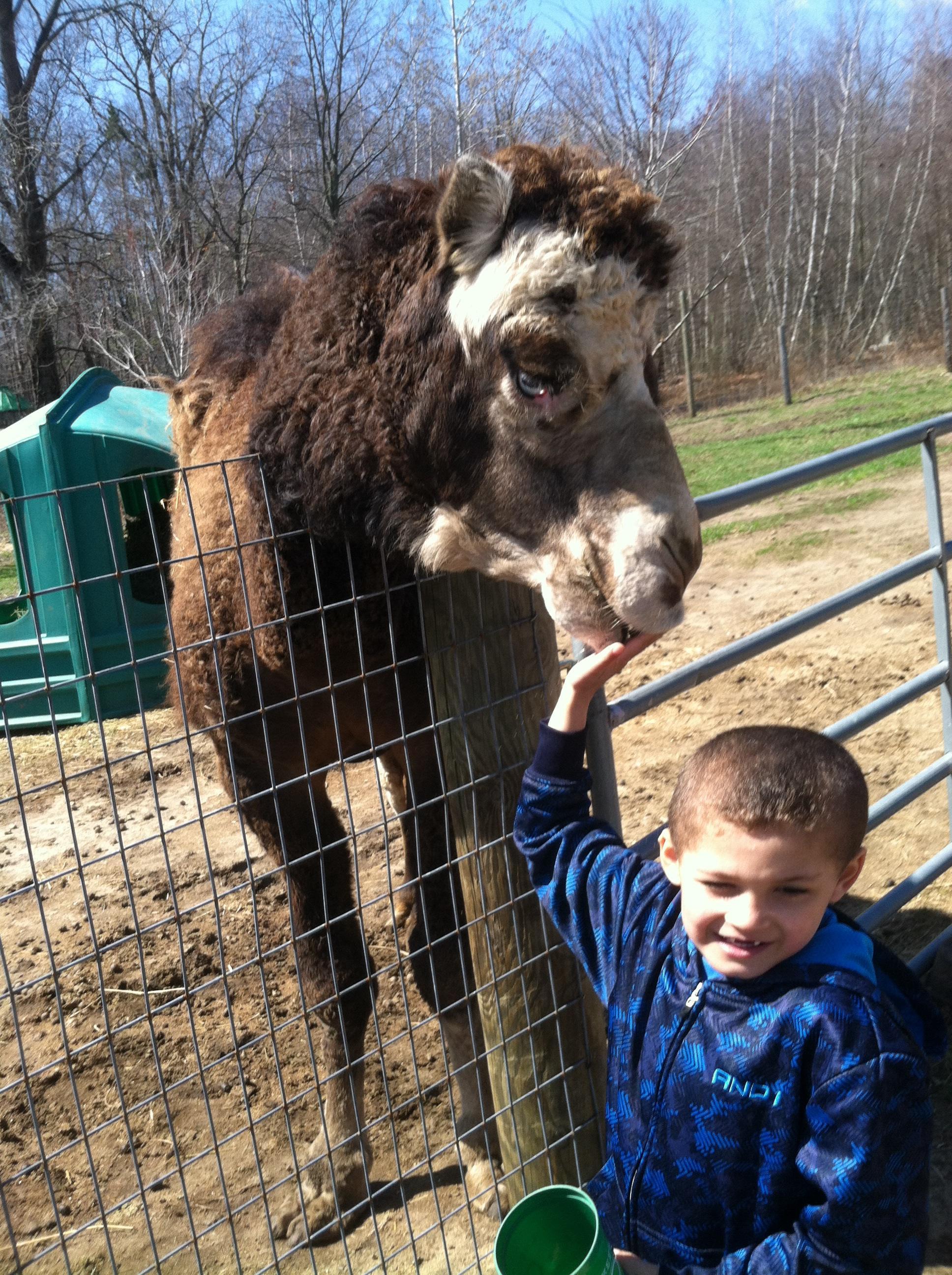 Indian Creek Zoo