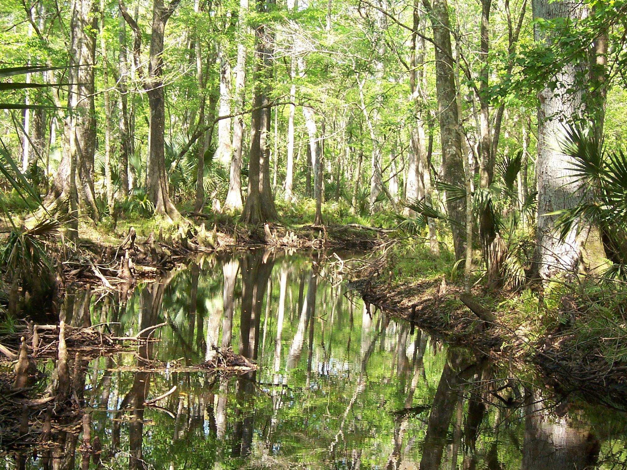 Jay B. Starkey Wilderness Park