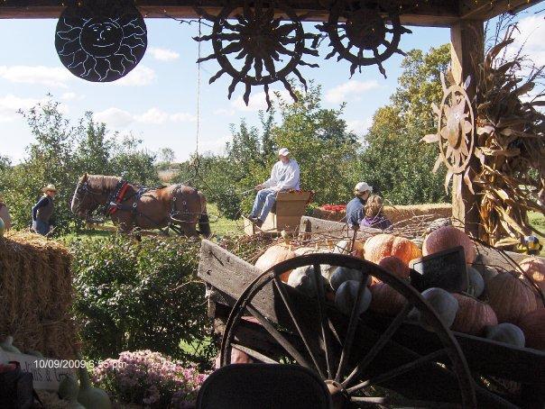 Bennett's Orchard