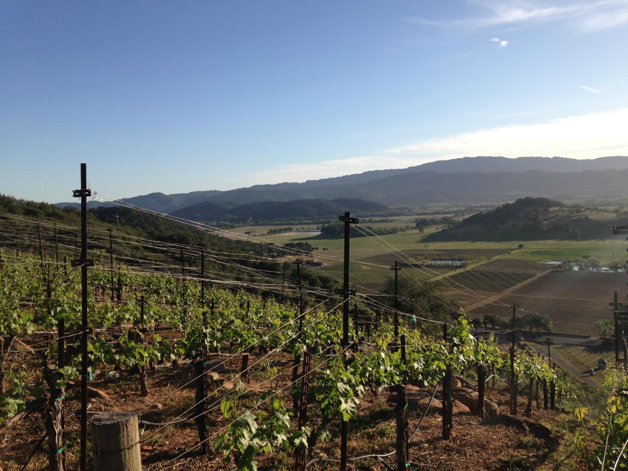 RAM Wine Country Tours