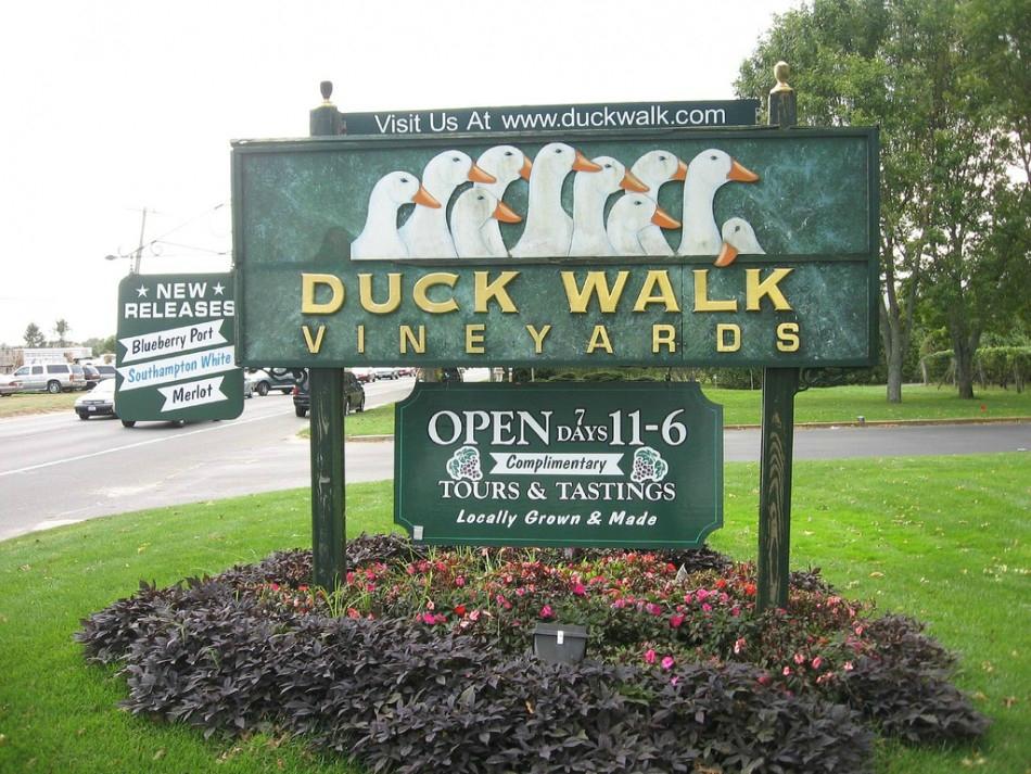 Duck Walk Vineyards