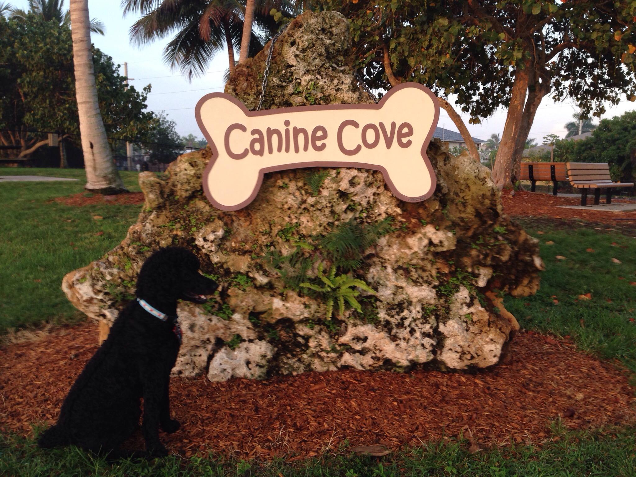 Canine Cove