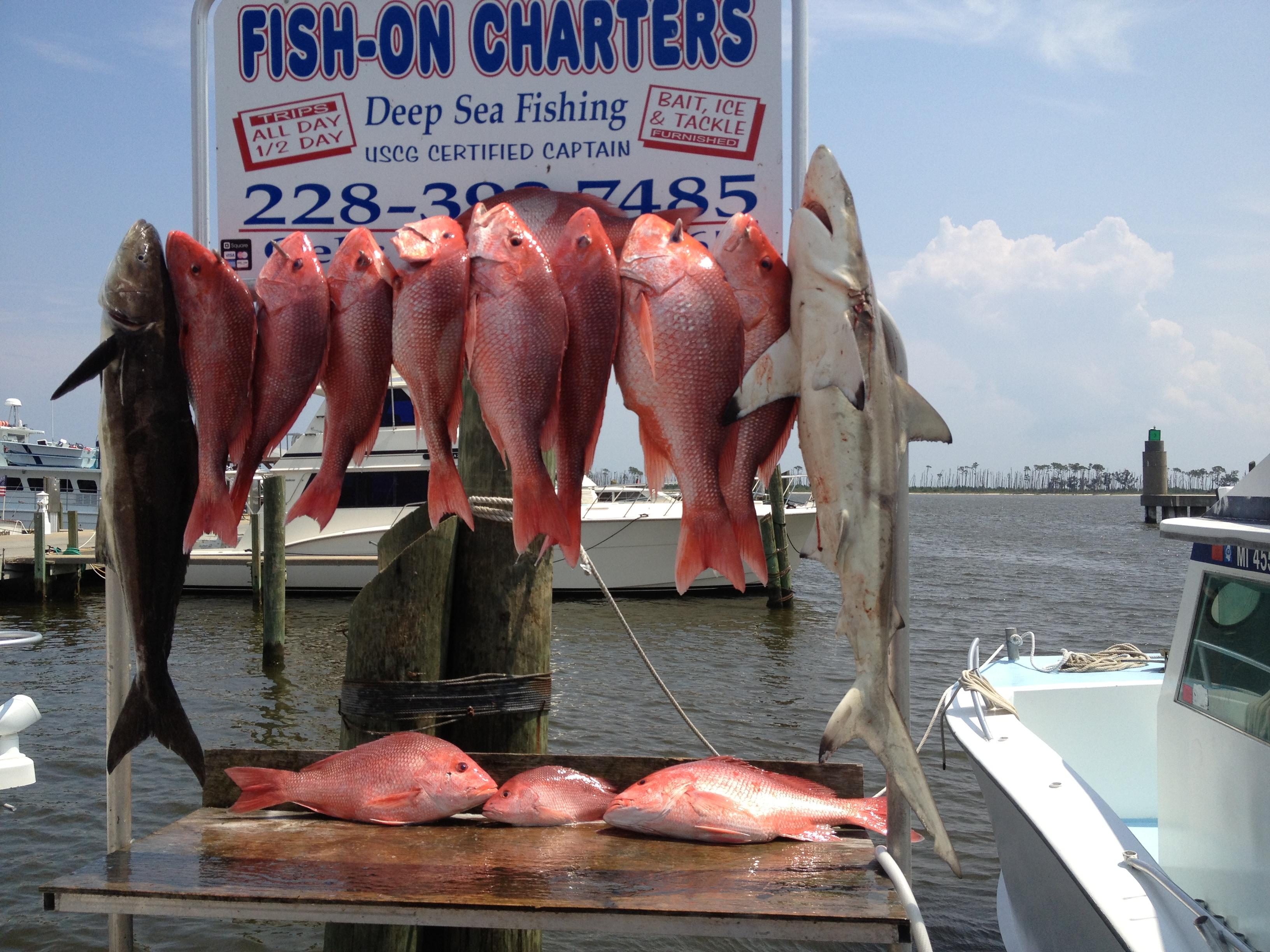 Go Topless Fishing Charters