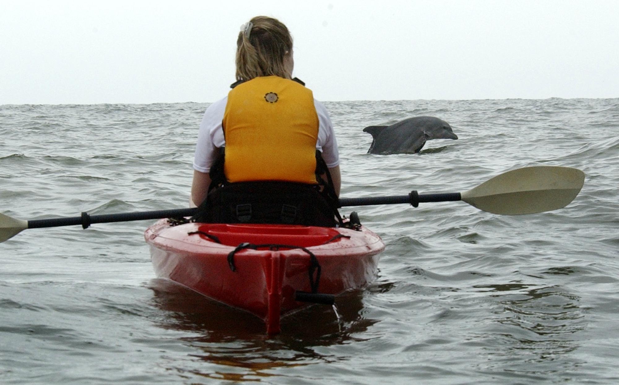 Kayak Nature Tours