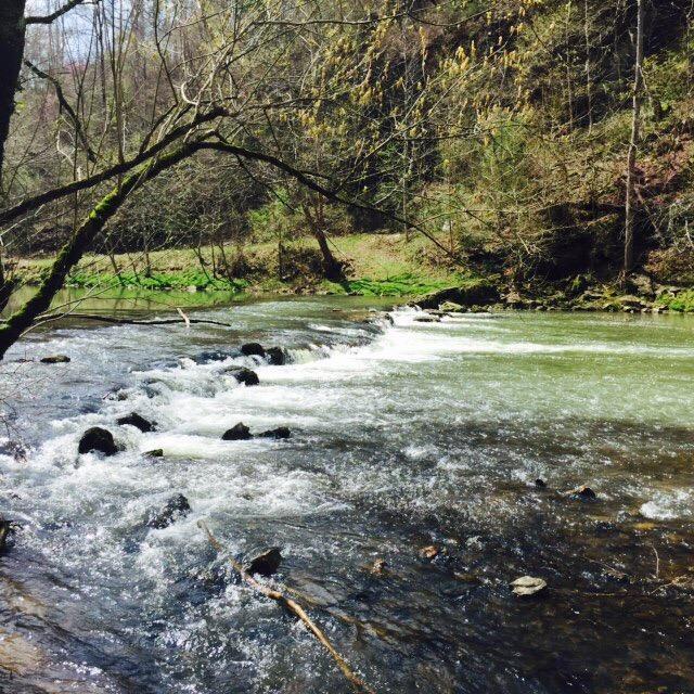 Elsie Holmes Nature Park