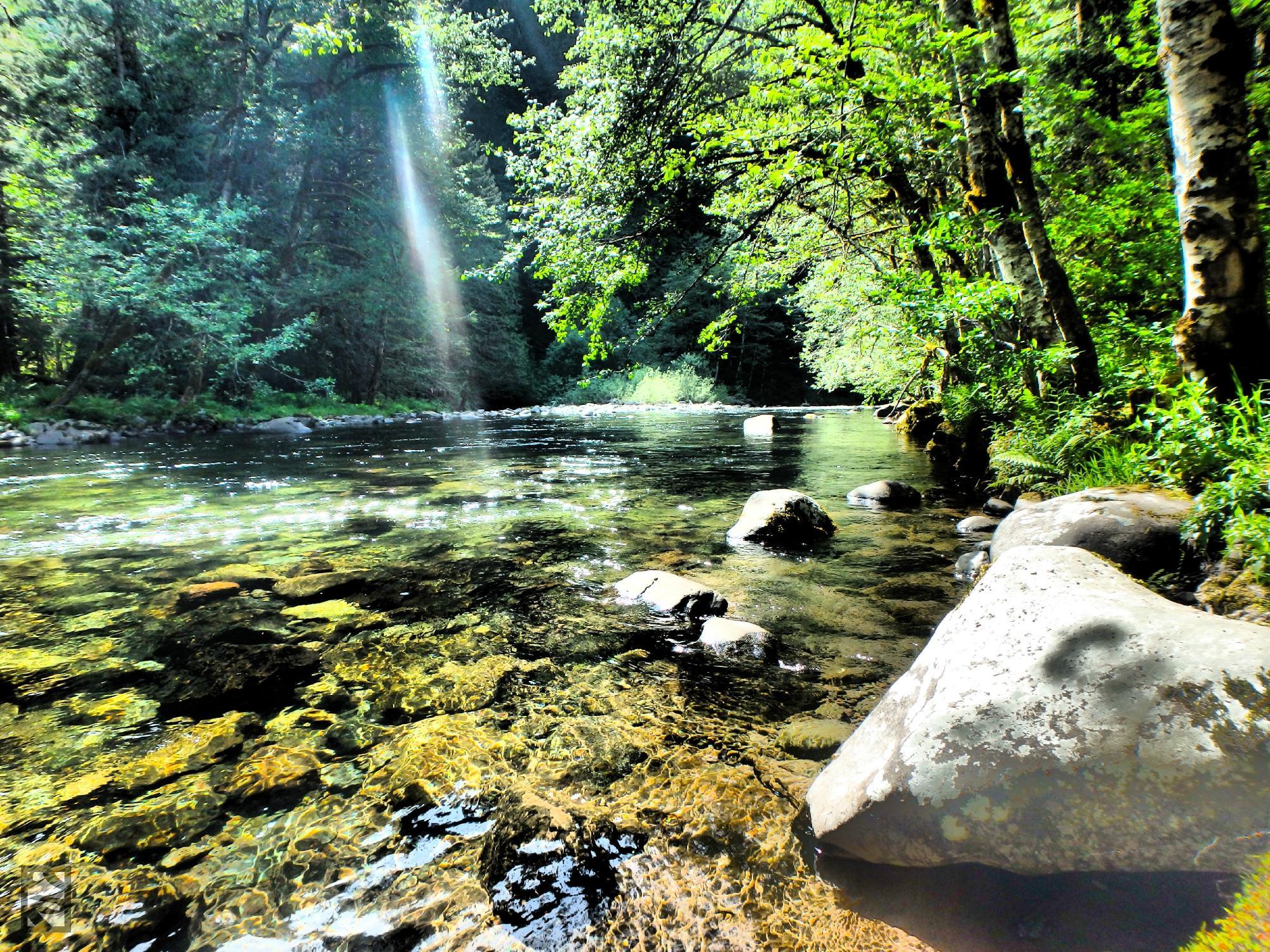 Salmon River Trail