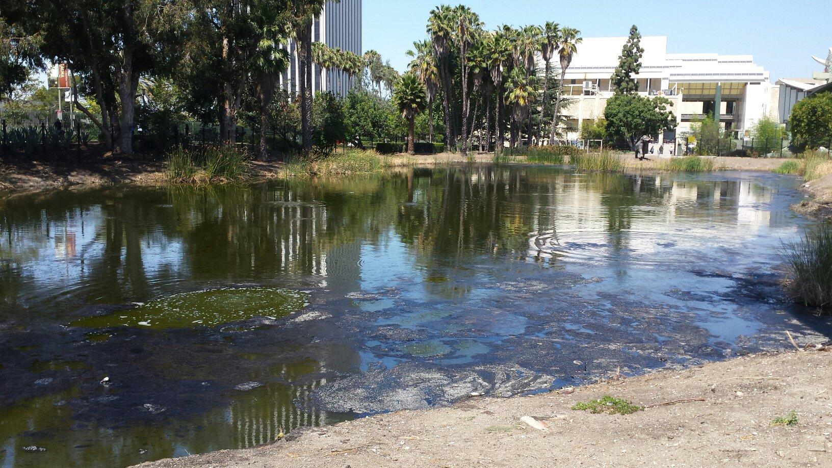 Park La Brea