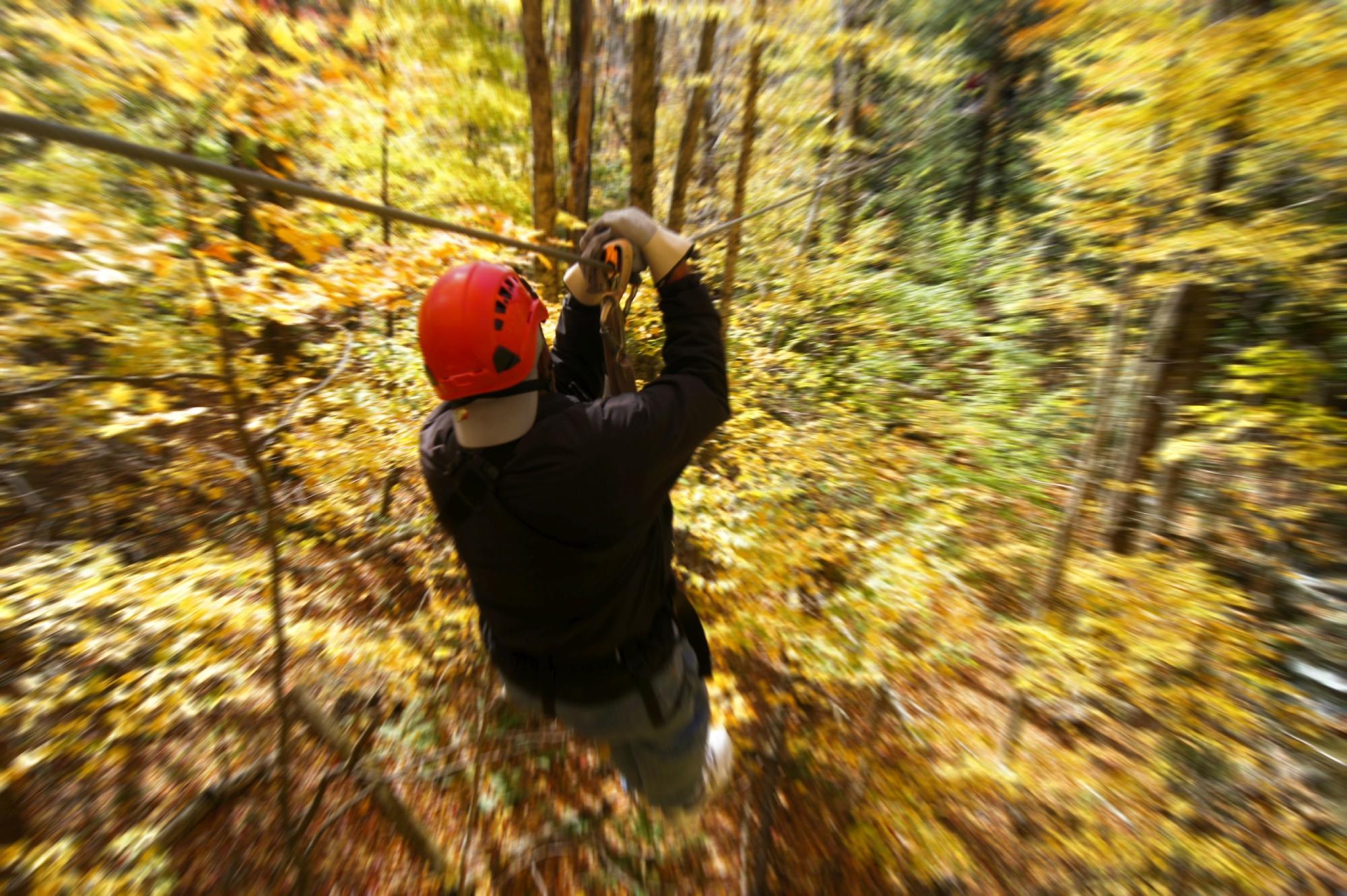 ArborTrek Canopy Adventures