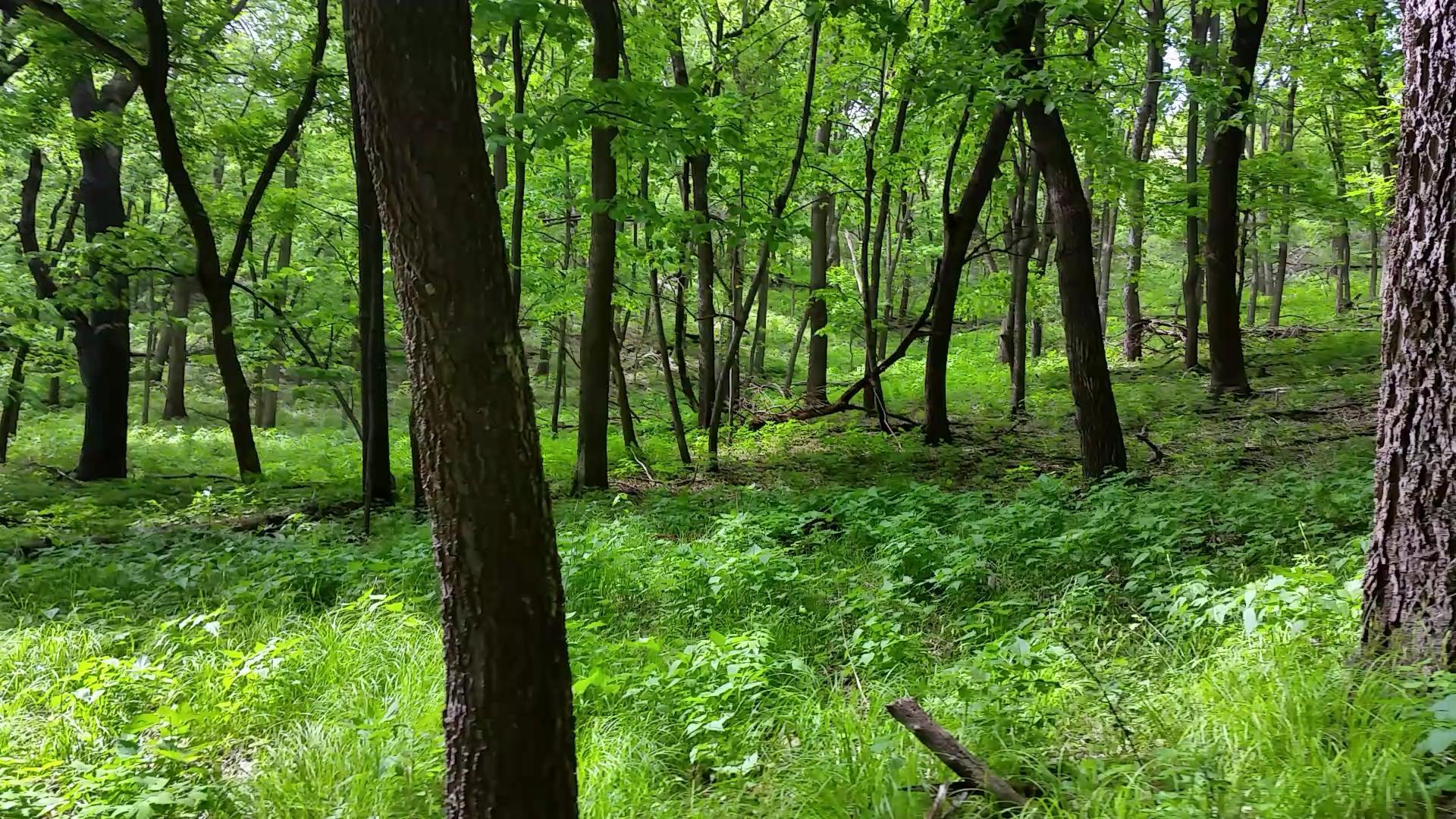 Stone State Park