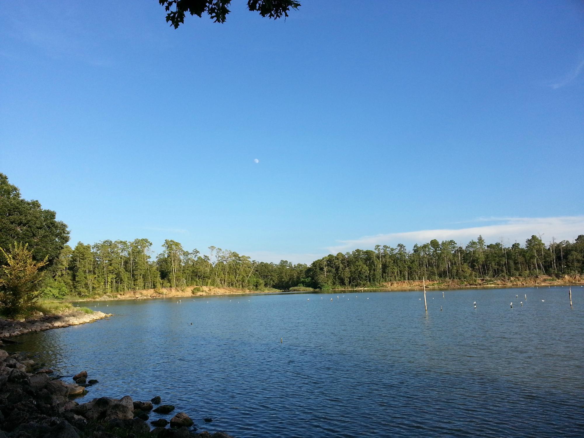 Lake Livingston State Park