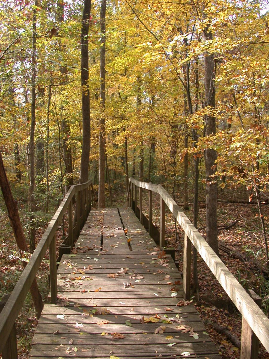 Walter B Jacobs Memorial Nature Park