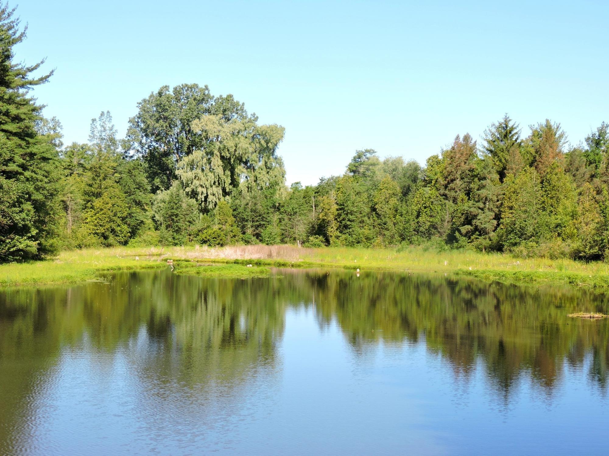 Hay Creek Conservation Area