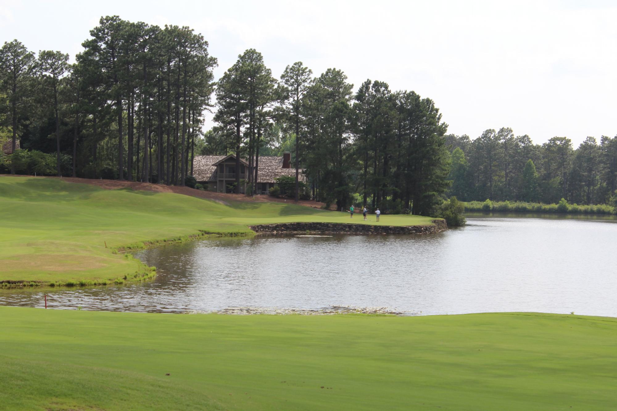 Pinehurst 8