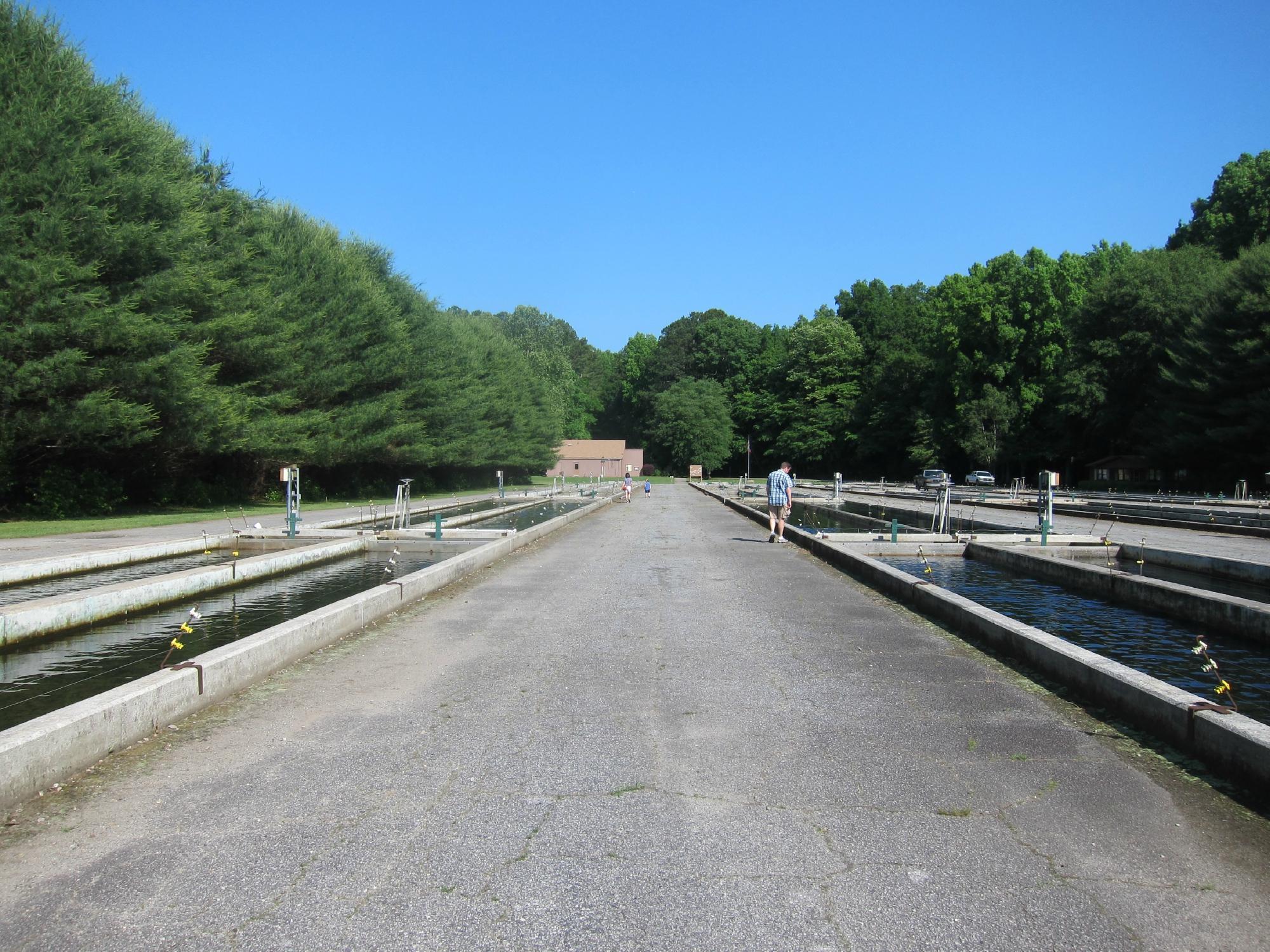 Buford Trout Hatchery