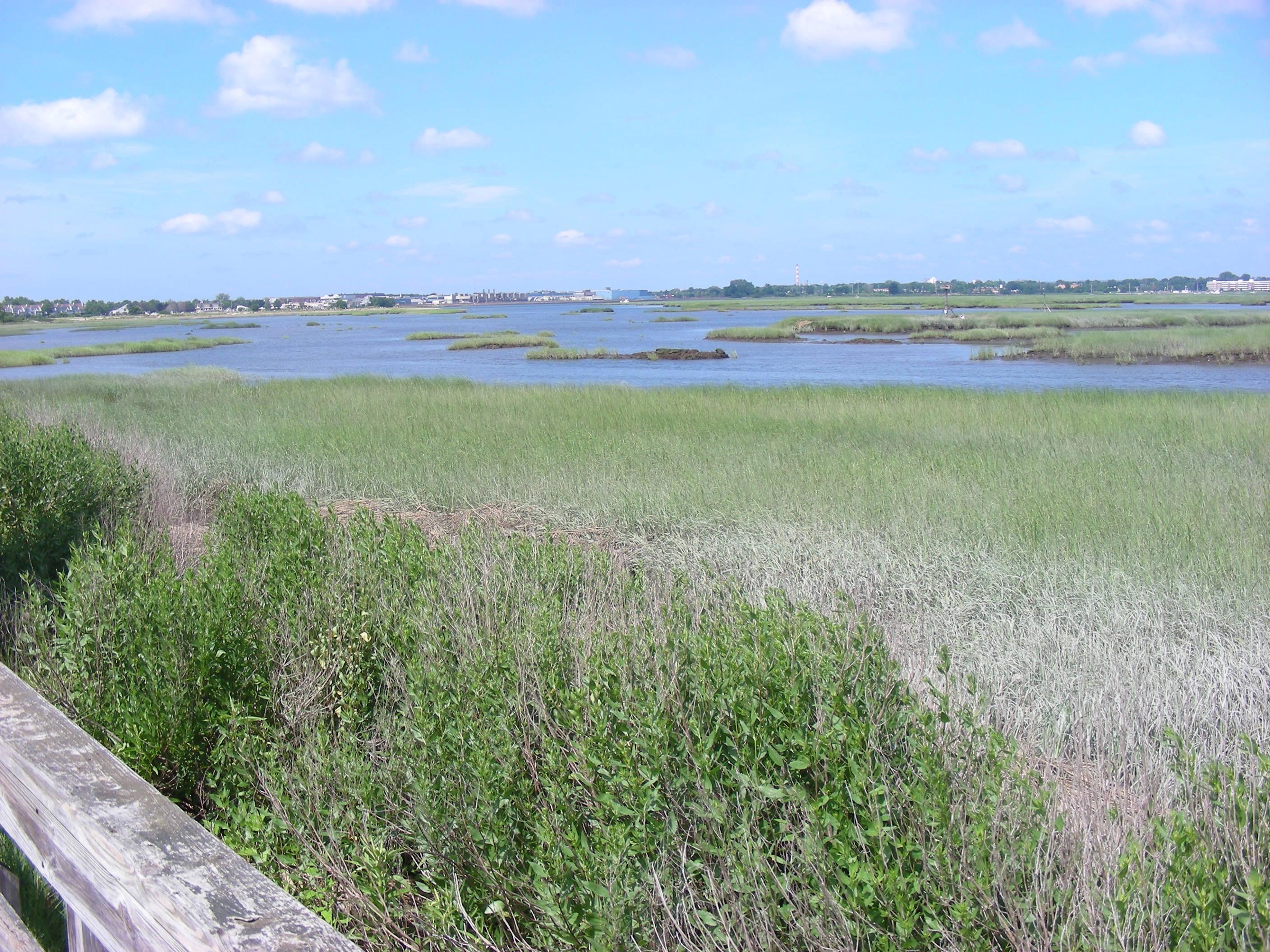 The Coastal Center at Milford Point