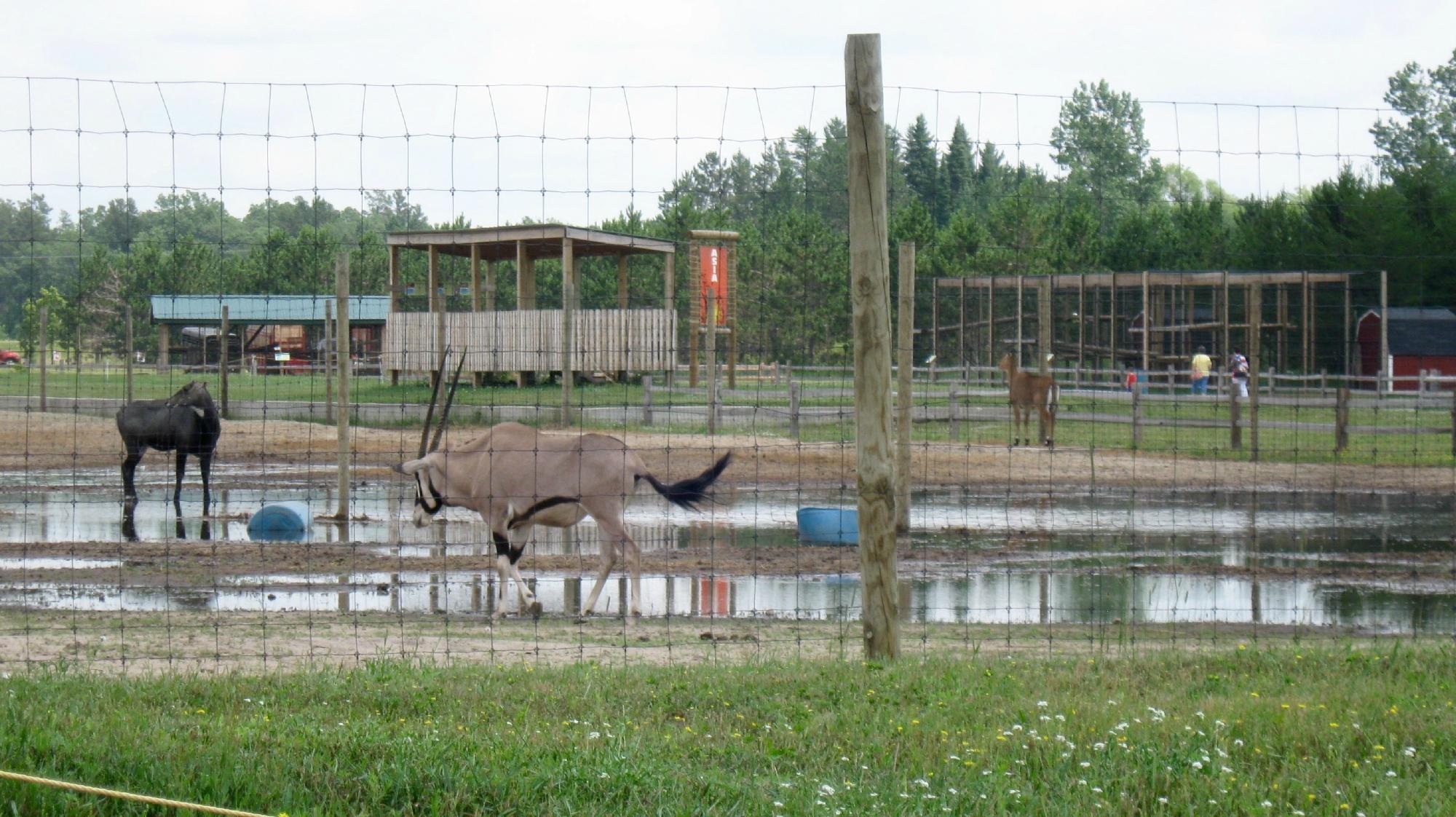 Safari North Wildlife Park