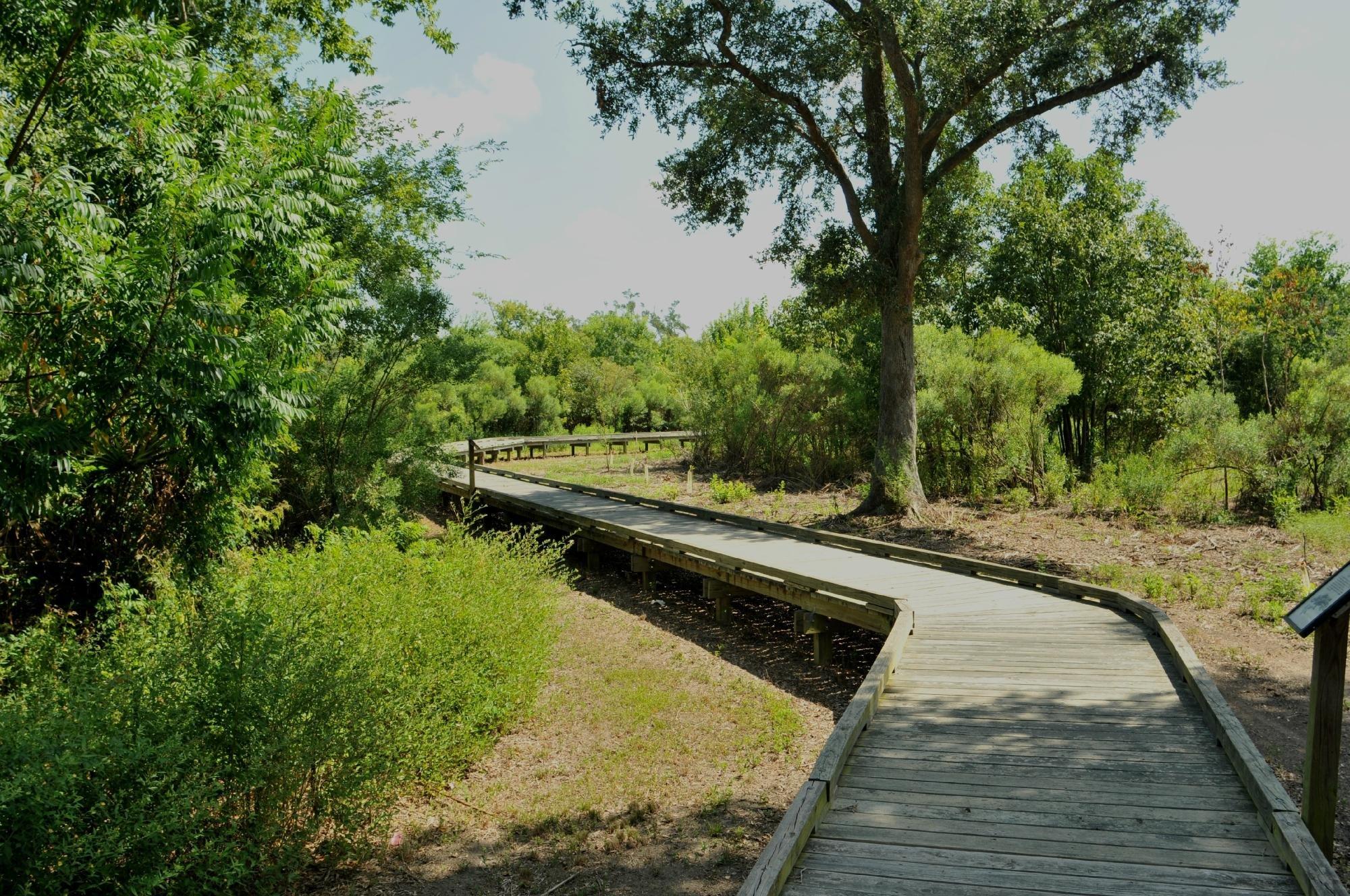 Bayou Sauvage National Wildlife Refuge