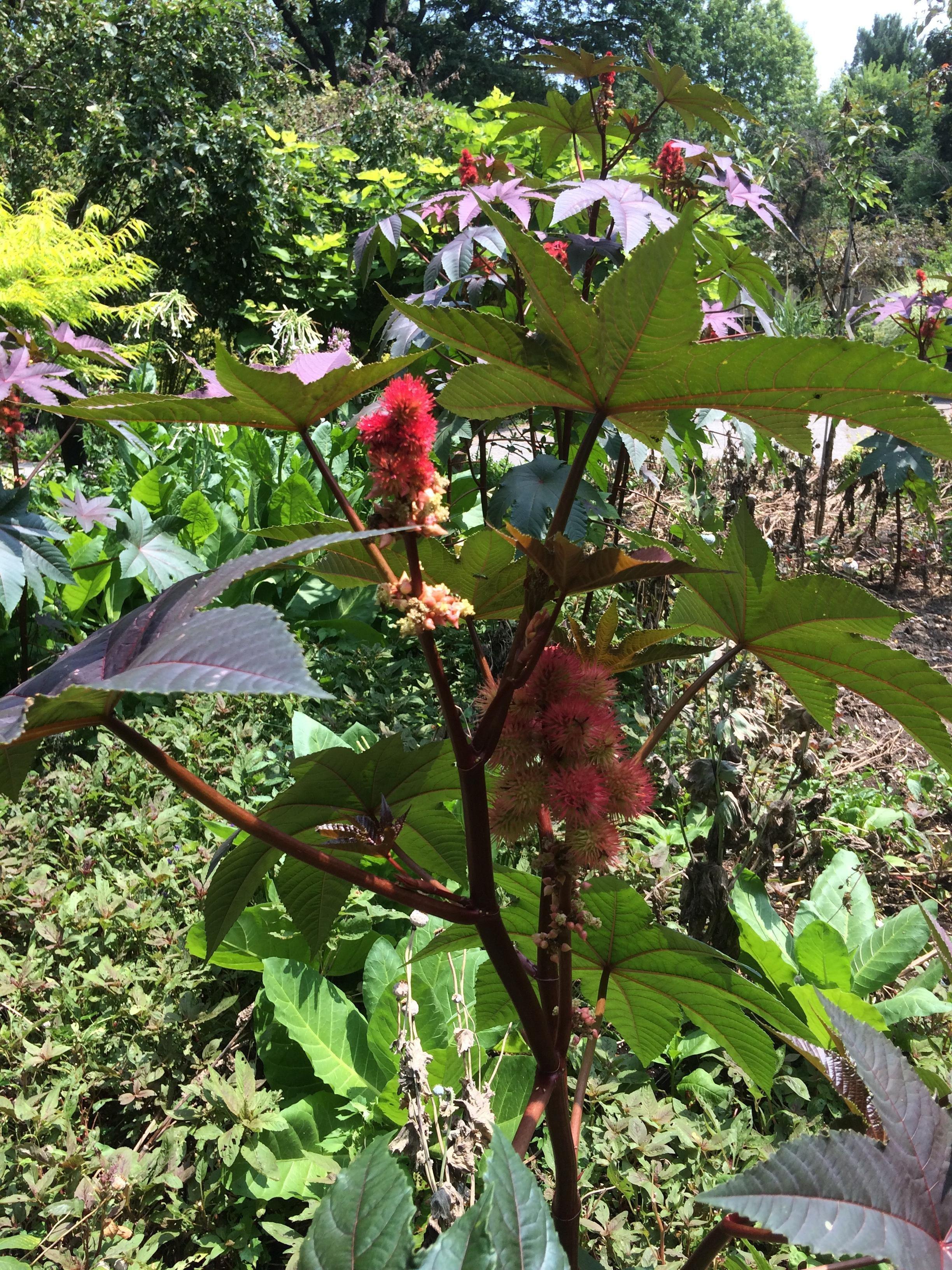 Gardenview Horticultural Park