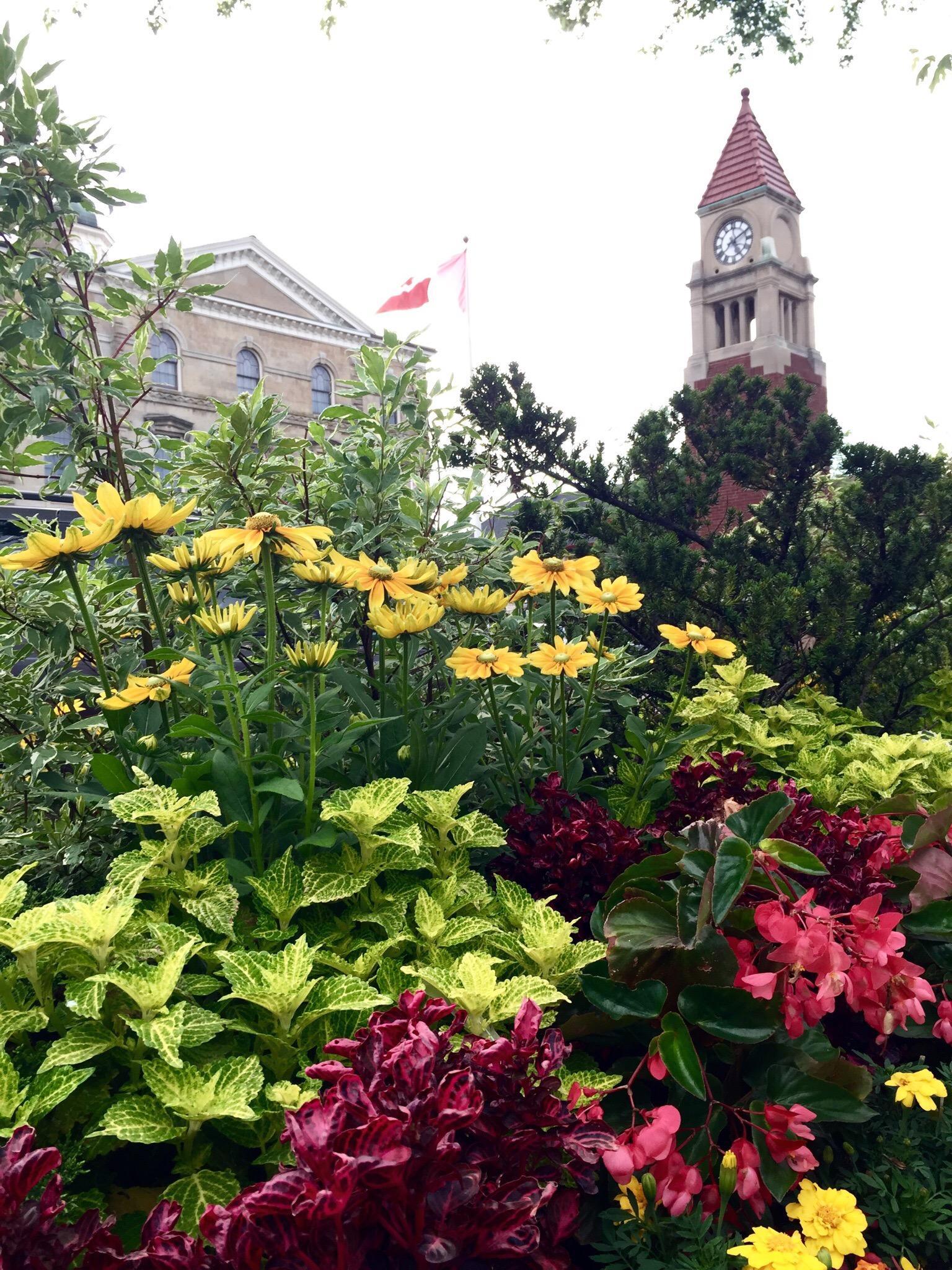 A Taste of Niagara on the Lake